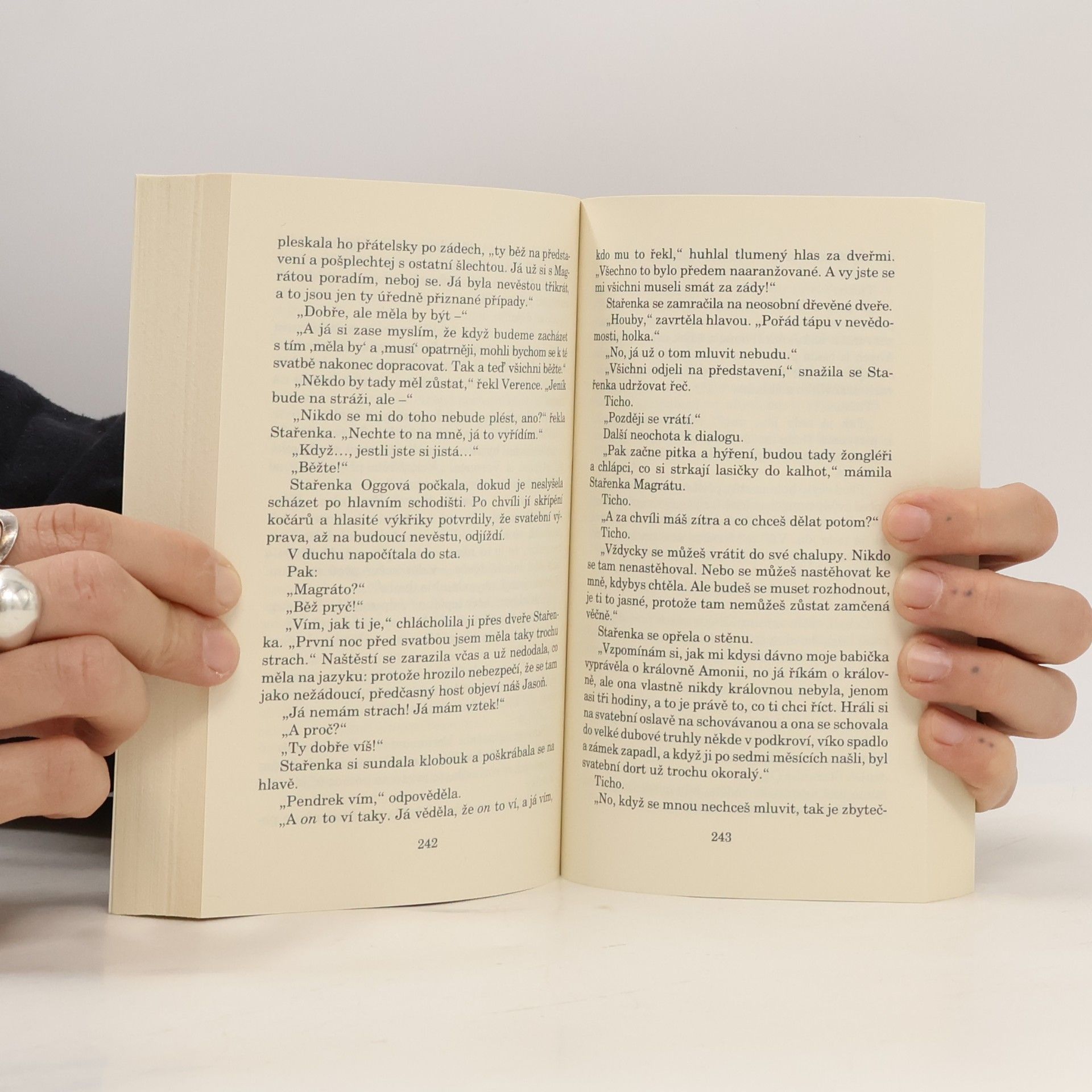 Terry Pratchett Dámy a pánové