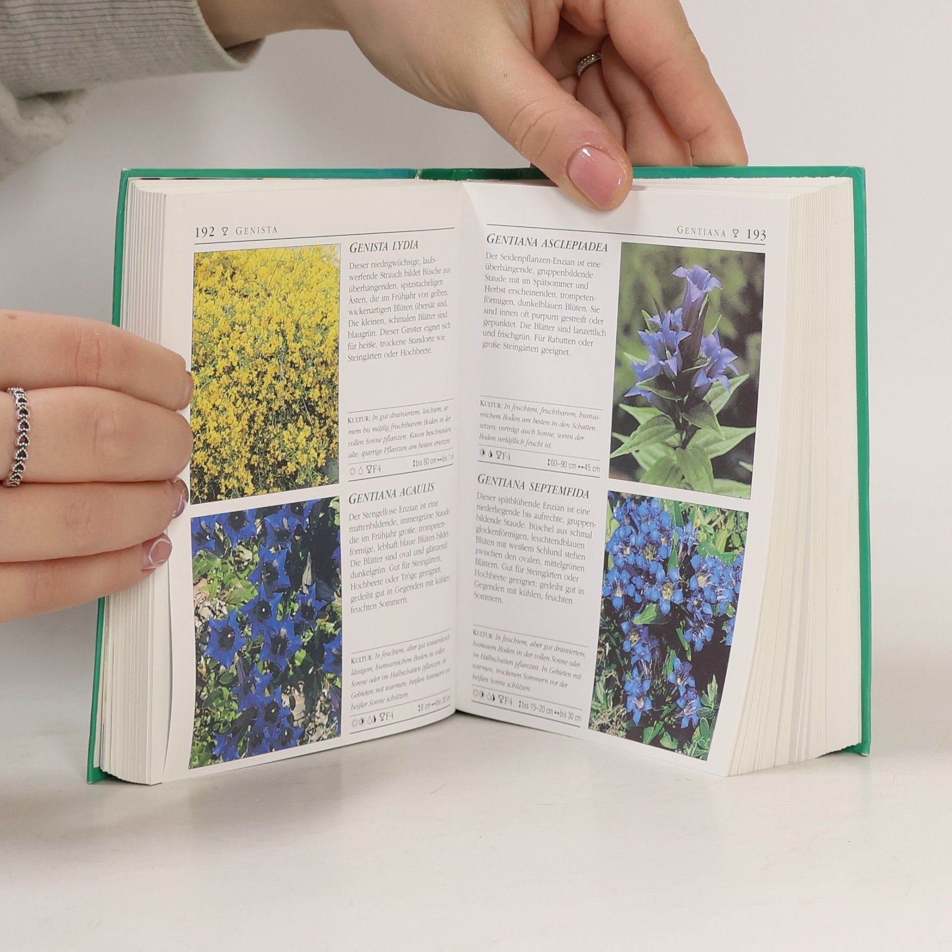 Nadja Biedinger Royal Horticultural Society: Pflanzenführer