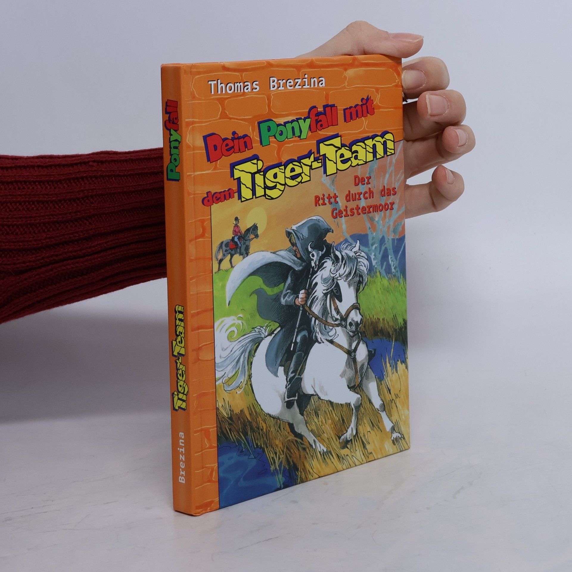 Thomas Brezina Dein Ponyfall mit dem Tiger-Team: Der Ritt durch das Geistermoor