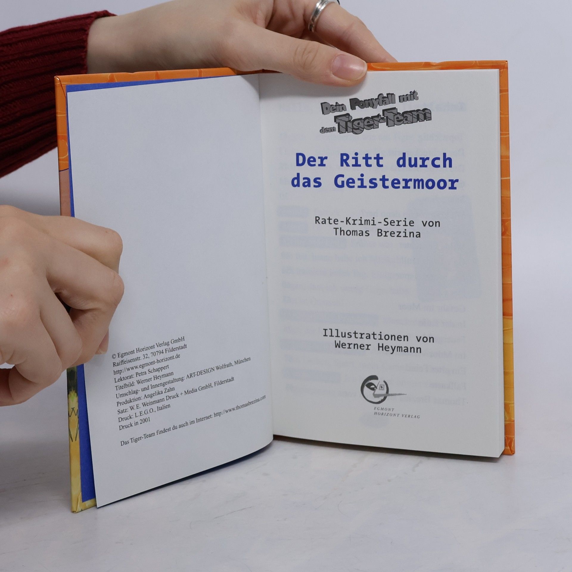 Thomas Brezina Dein Ponyfall mit dem Tiger-Team: Der Ritt durch das Geistermoor