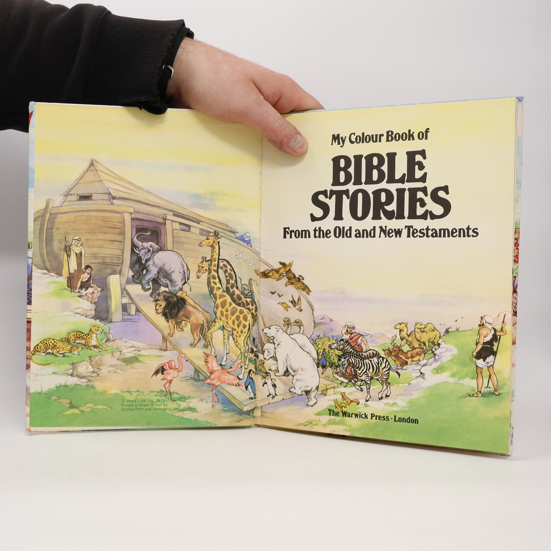 Various authors My Colour Book of Bible Stories