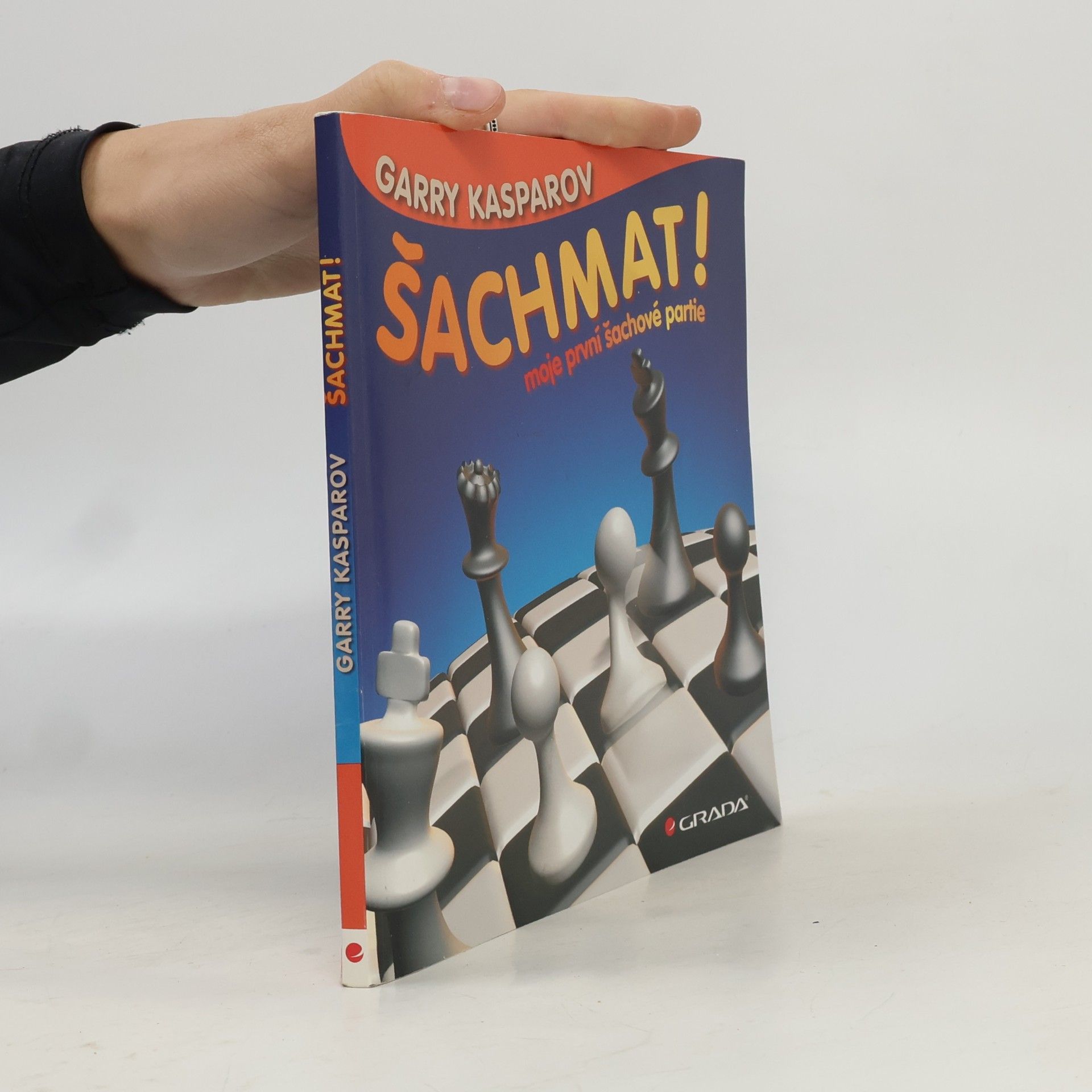 Šachmat! - moje první šachové partie