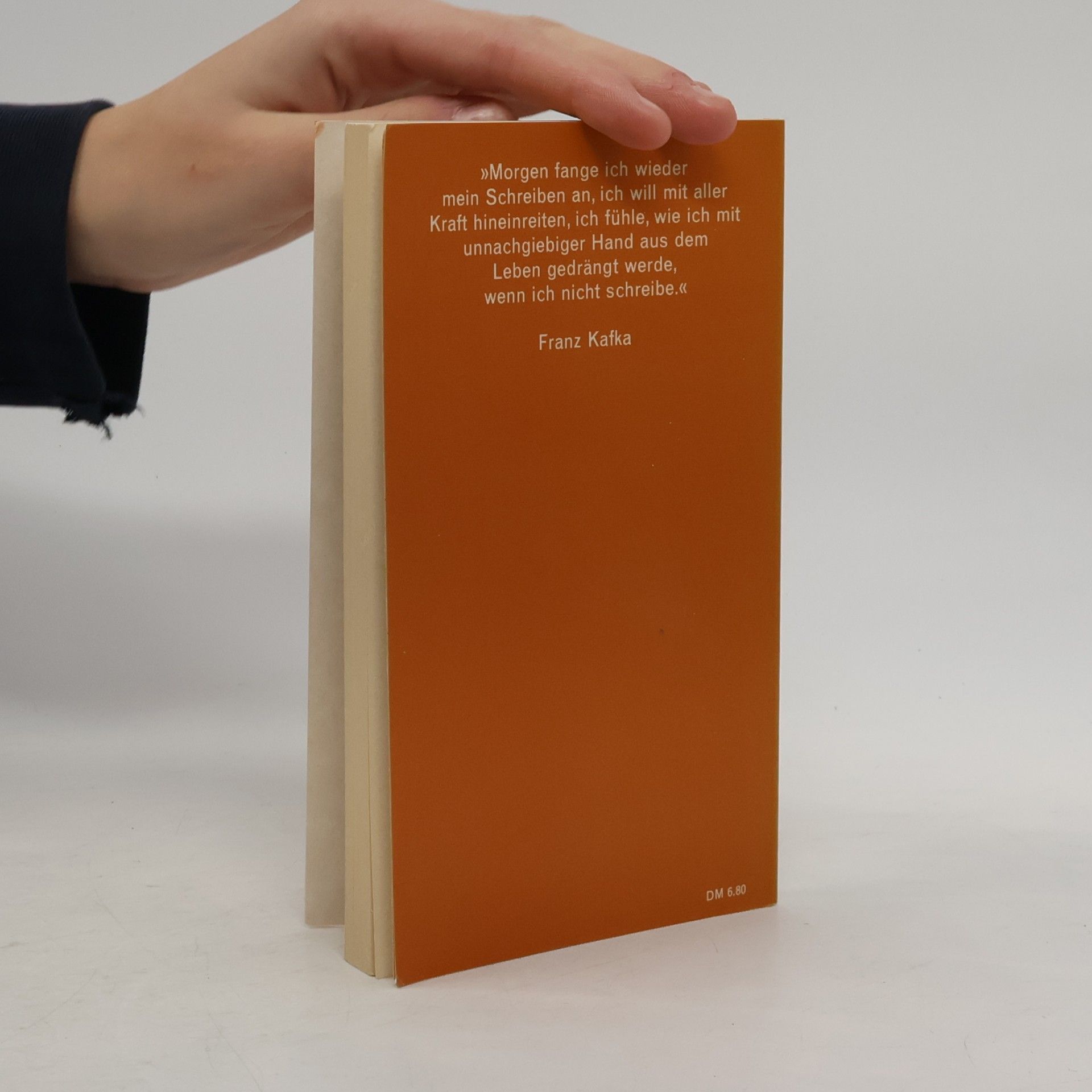 Erich Heller Franz Kafka. Der Dichter über sein Werk