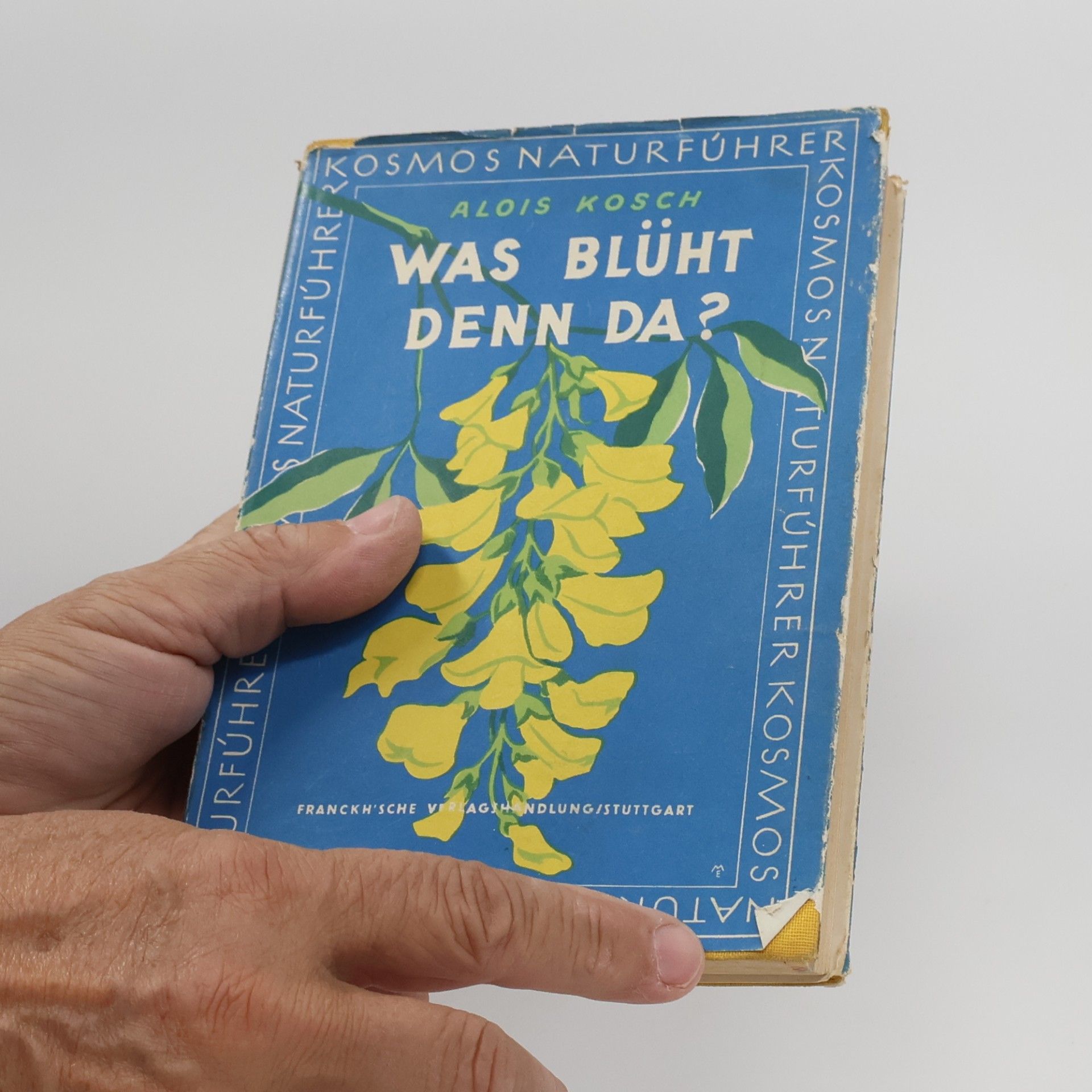 Alois Kosch Was Blüht denn da?