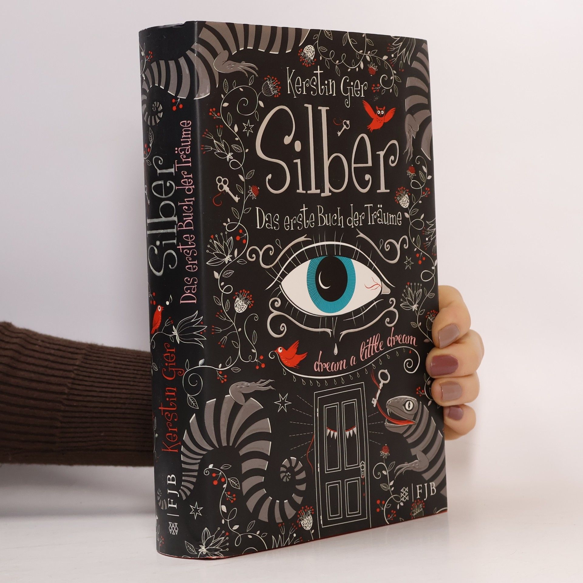 Silber. Das erste Buch der Träume