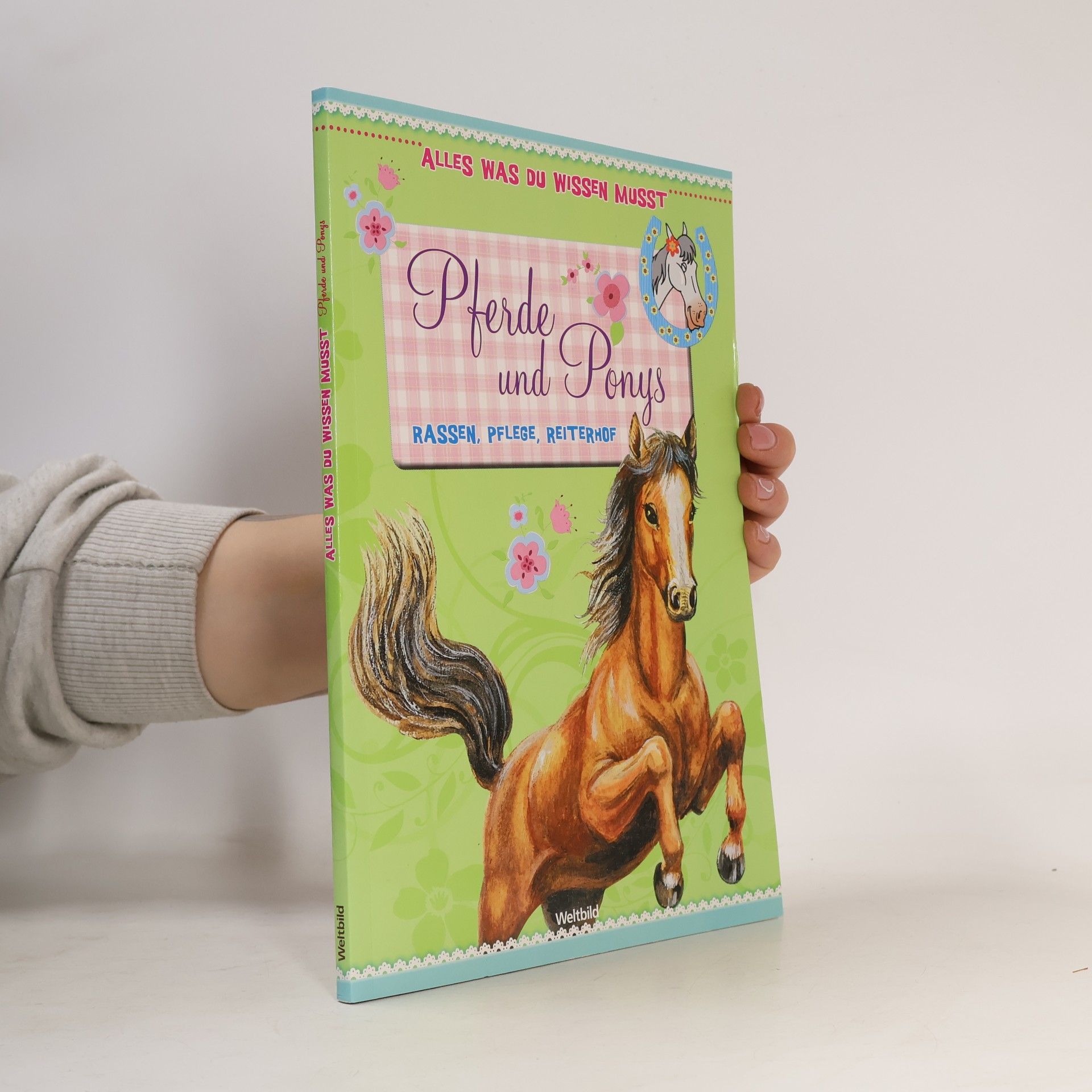 Pferde und Ponys