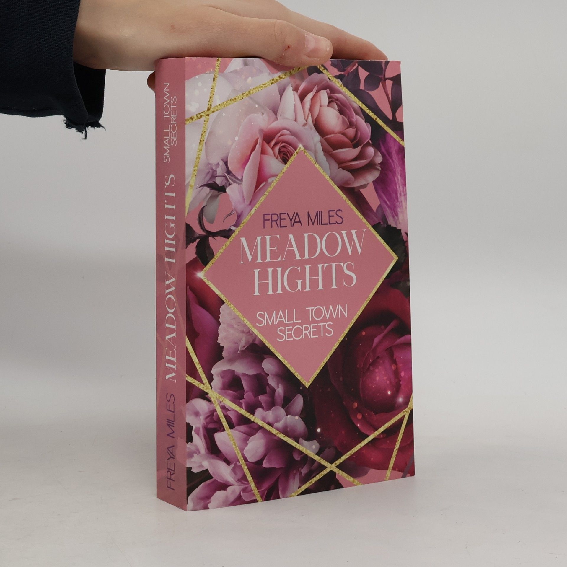 MEADOW HIGHTS: Small Town Secrets