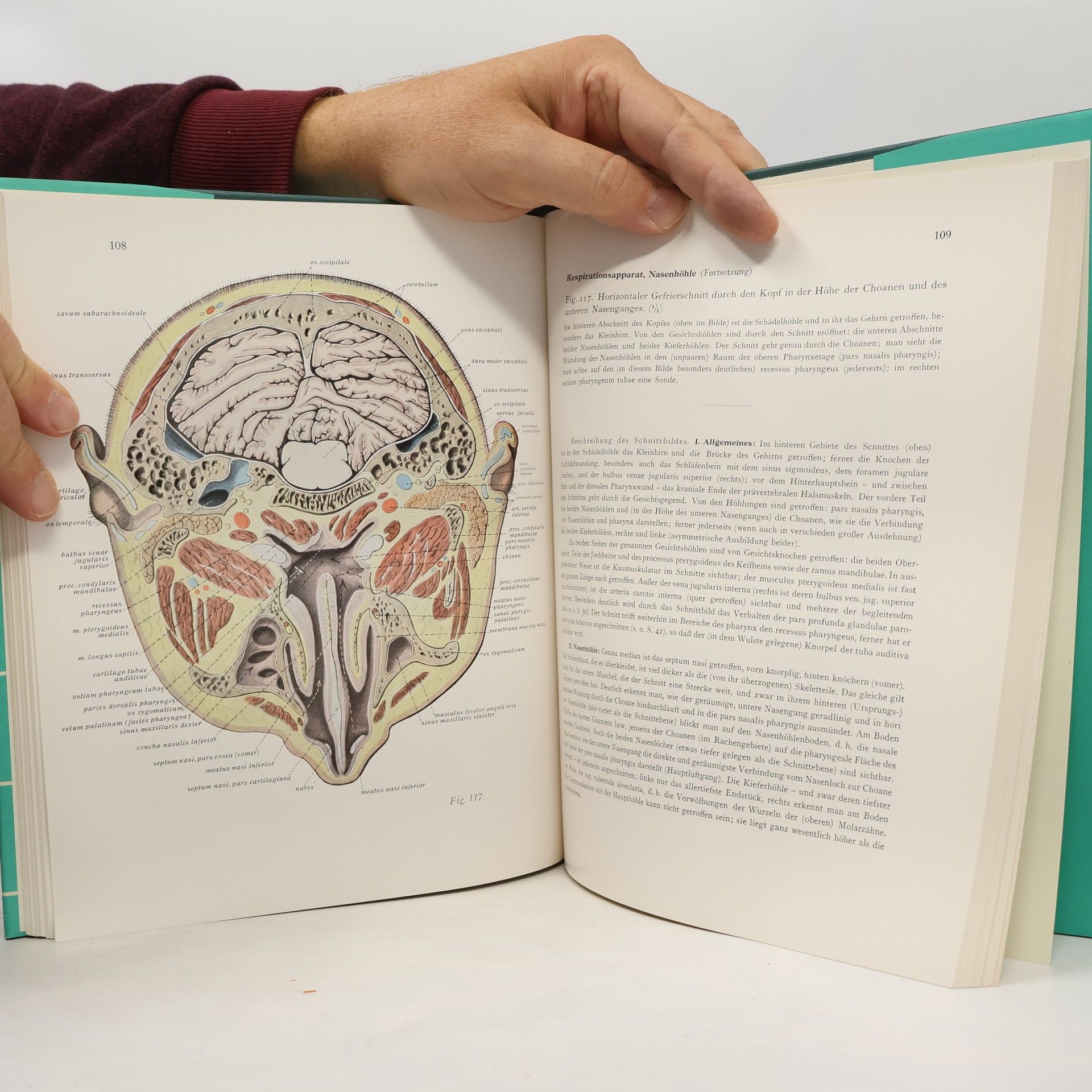 Johannes Sobotta Atlas der deskriptiven Anatomie des Menschen