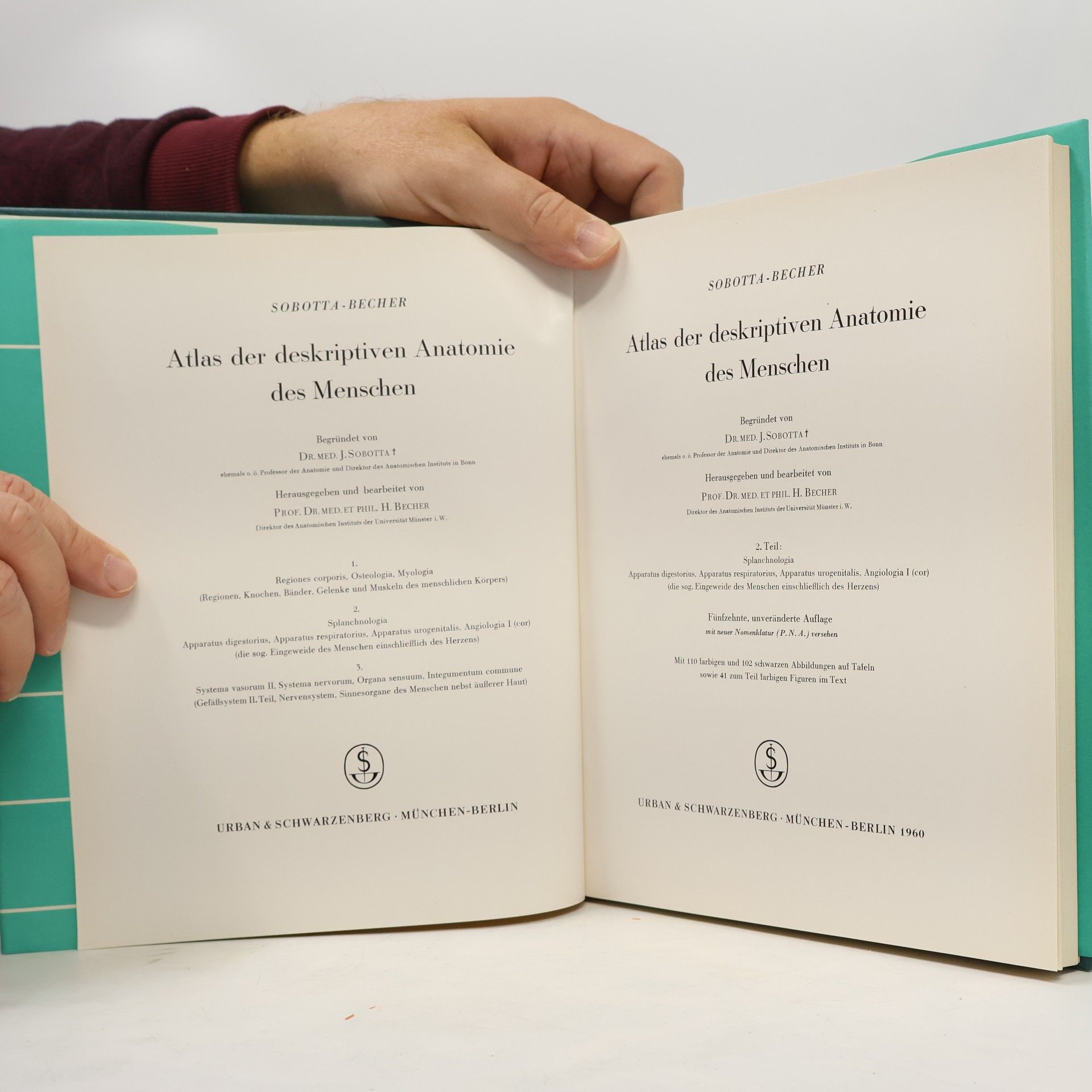 Johannes Sobotta Atlas der deskriptiven Anatomie des Menschen