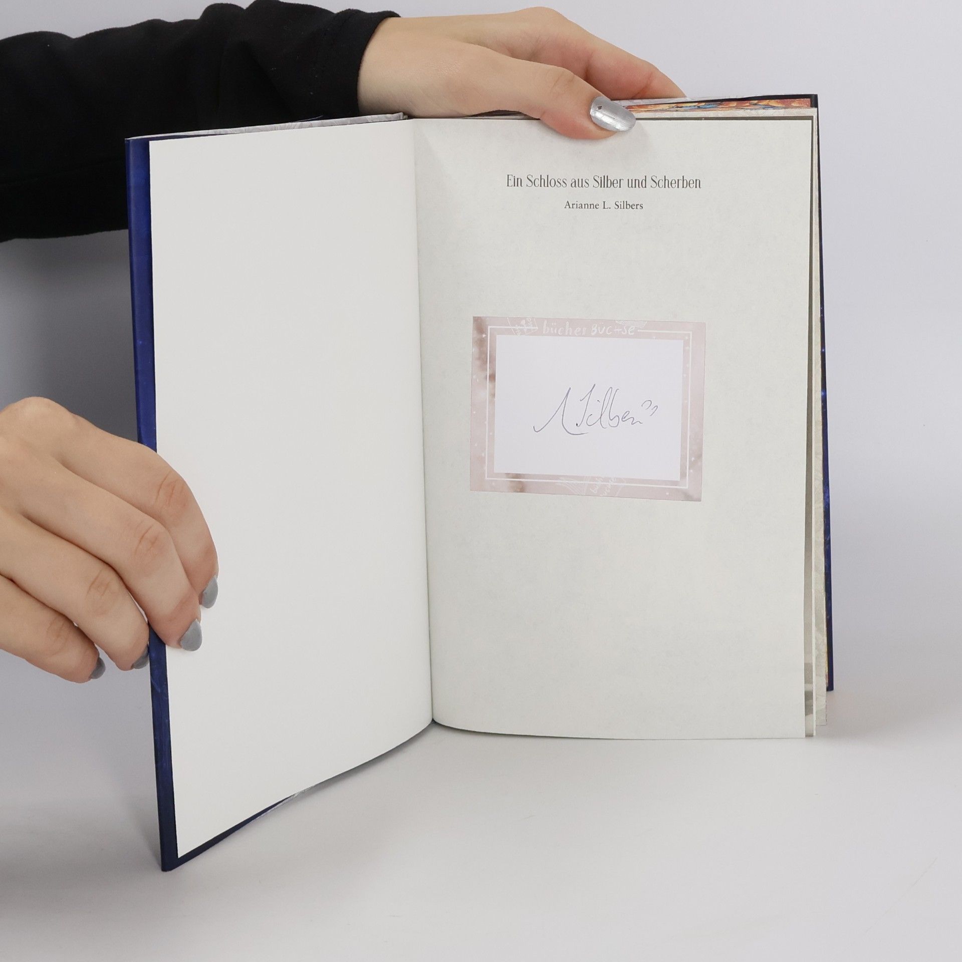 Arianne L. Silbers Ein Schloss aus Silber und Scherben