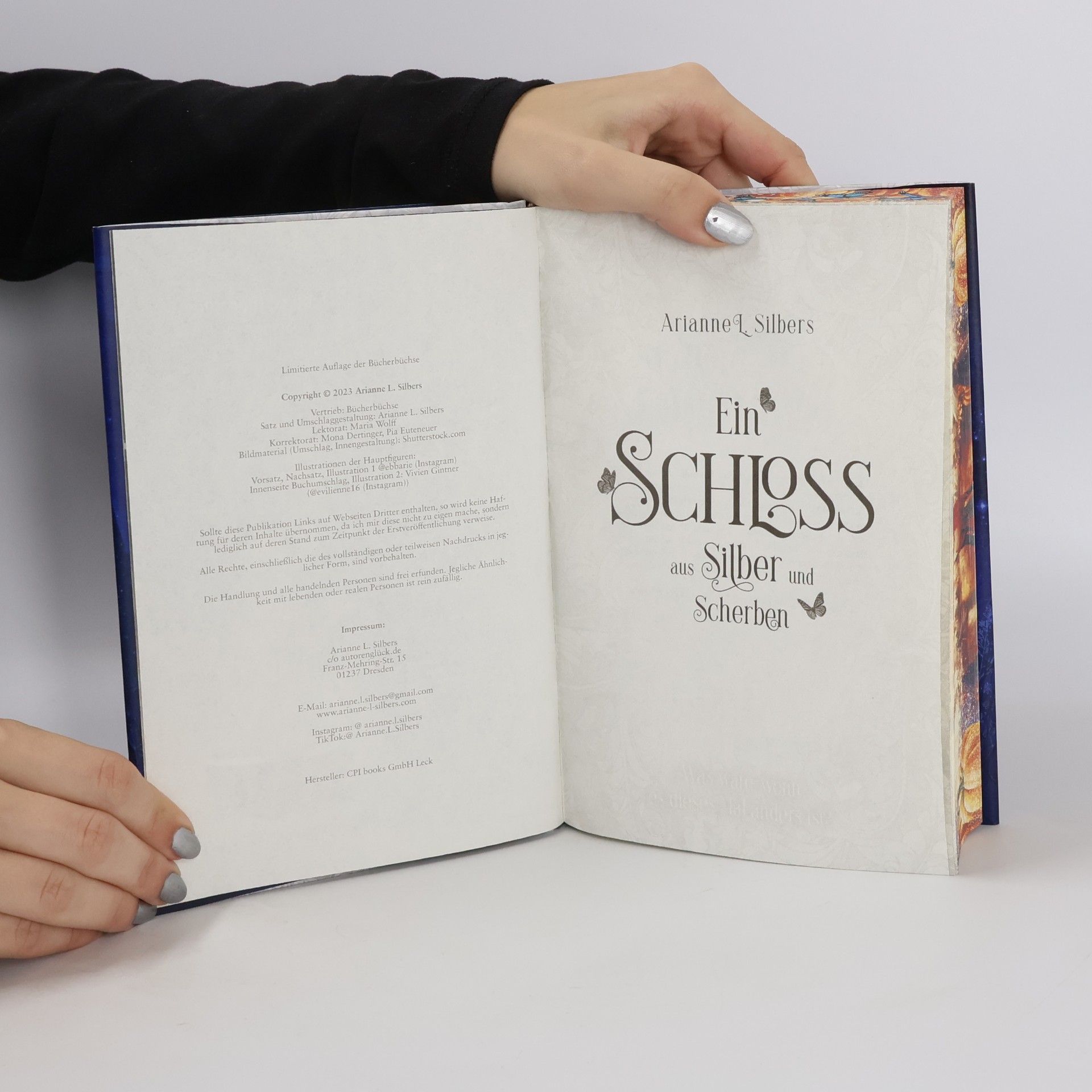 Arianne L. Silbers Ein Schloss aus Silber und Scherben