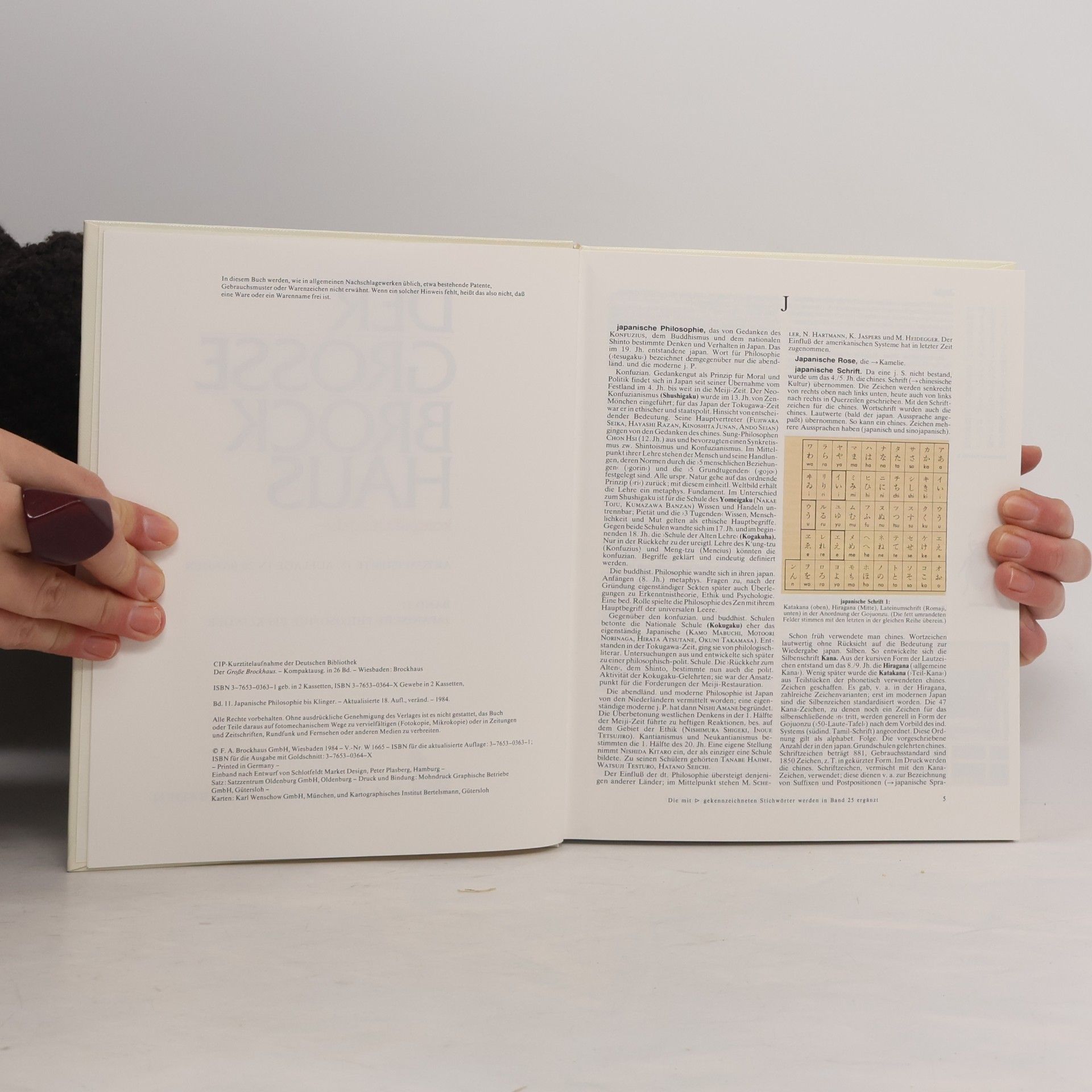 Autorenkollektiv Der Grosse Brockhaus 11