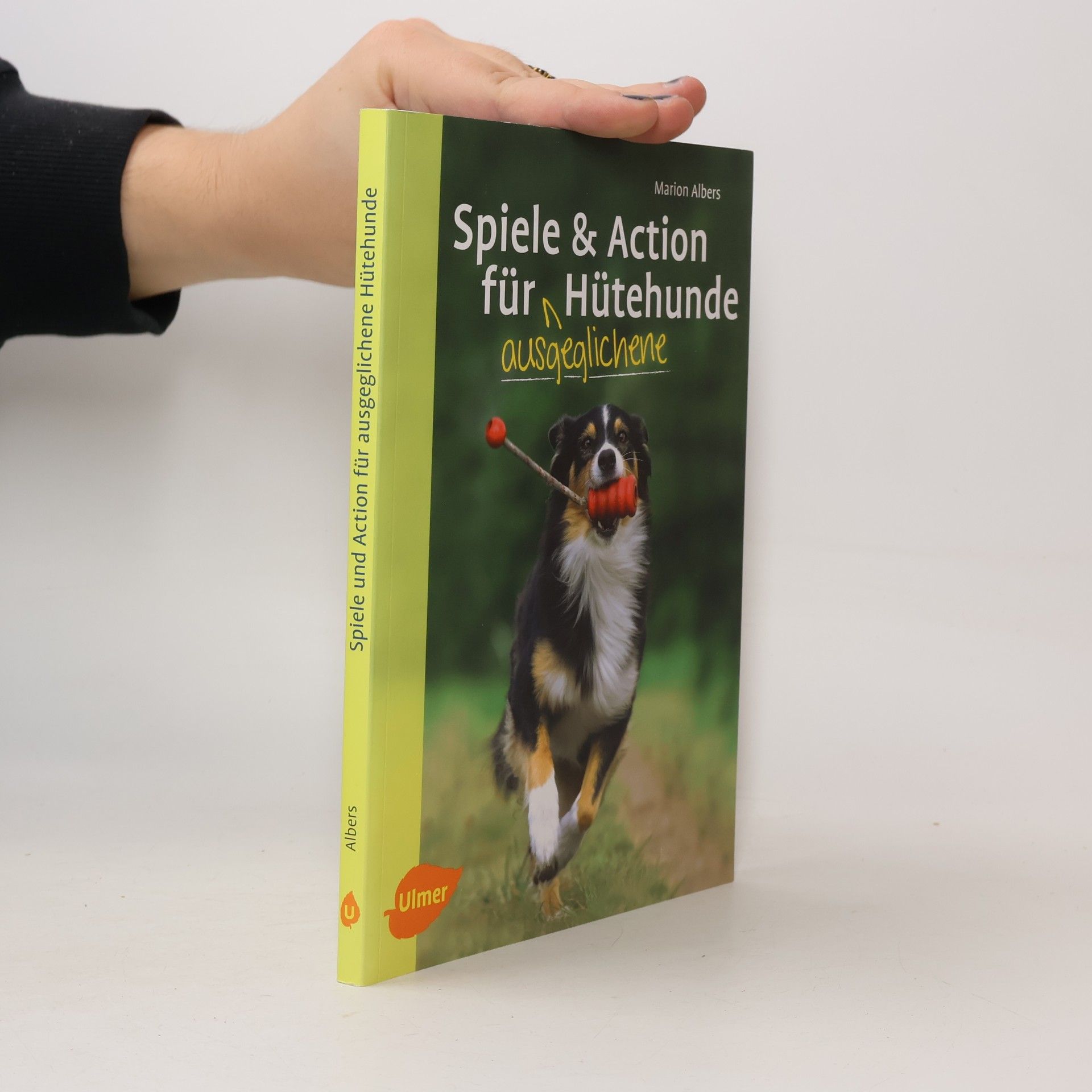Spiele und Action für ausgeglichene Hütehunde