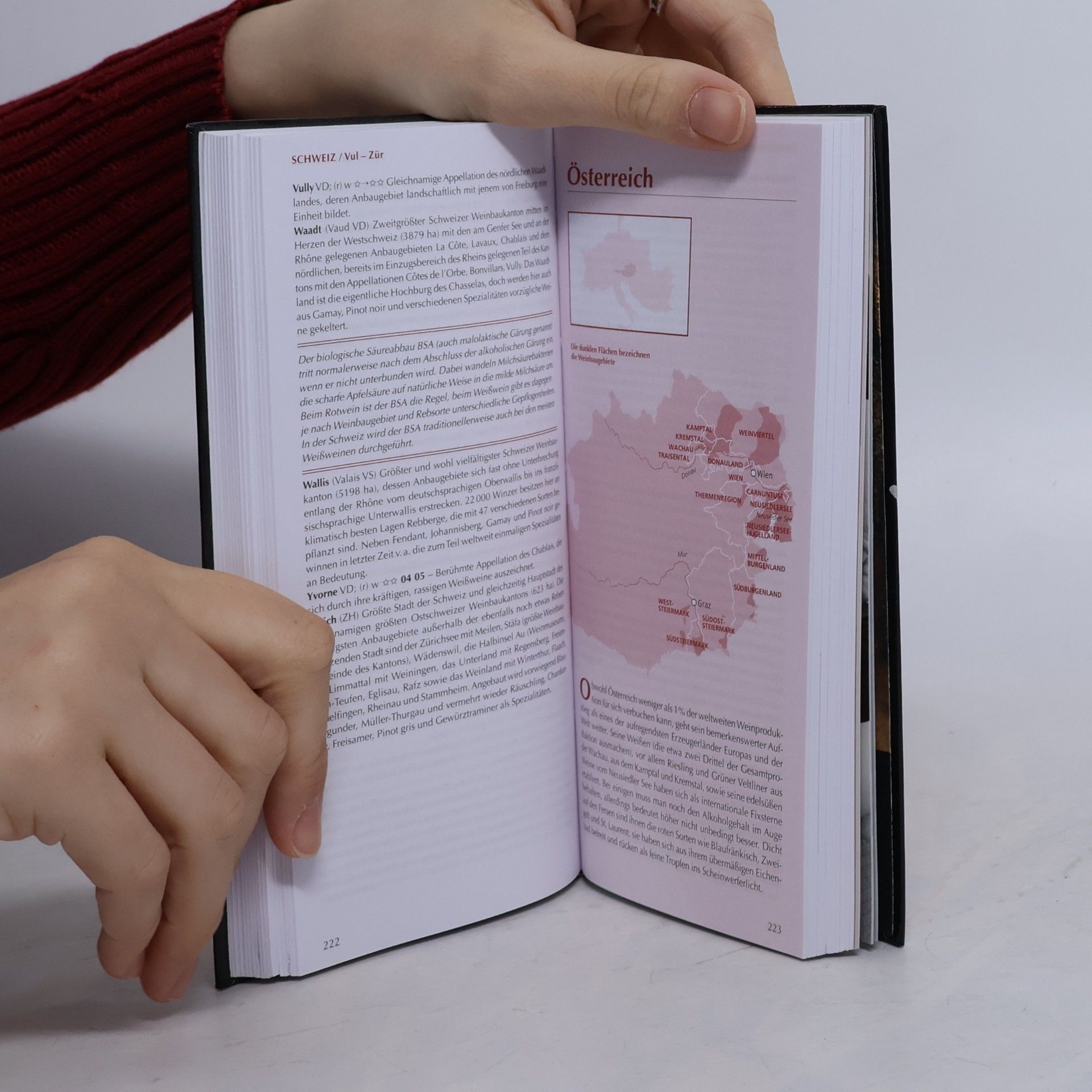 Autorenkollektiv Der Kleine Johnson 2007. Informationen zu über 15.000Weinen der Welt, zu Produzenten, Jahrgängen und Trinkreife