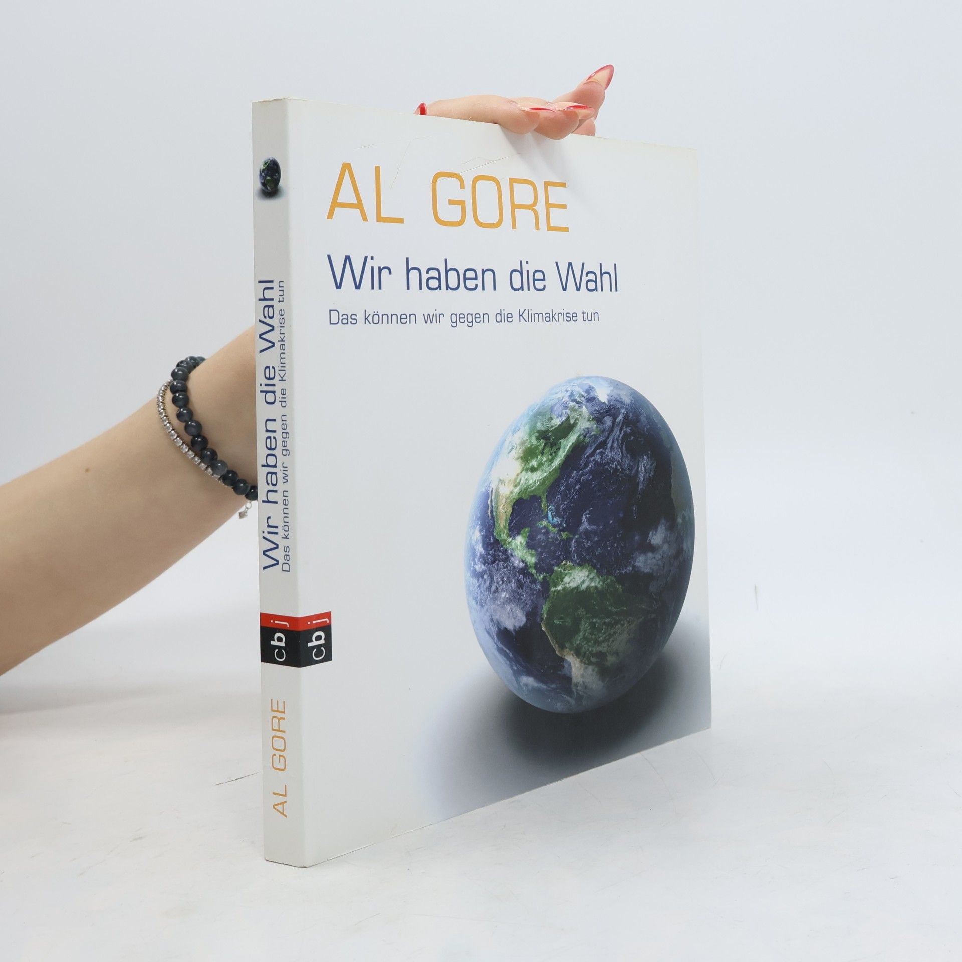 Al Gore Wir haben die Wahl