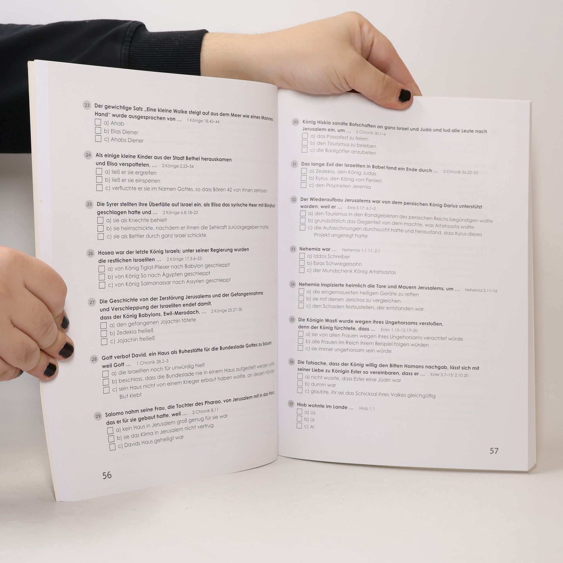 Renate Schneider Bibelquiz für jung und alt