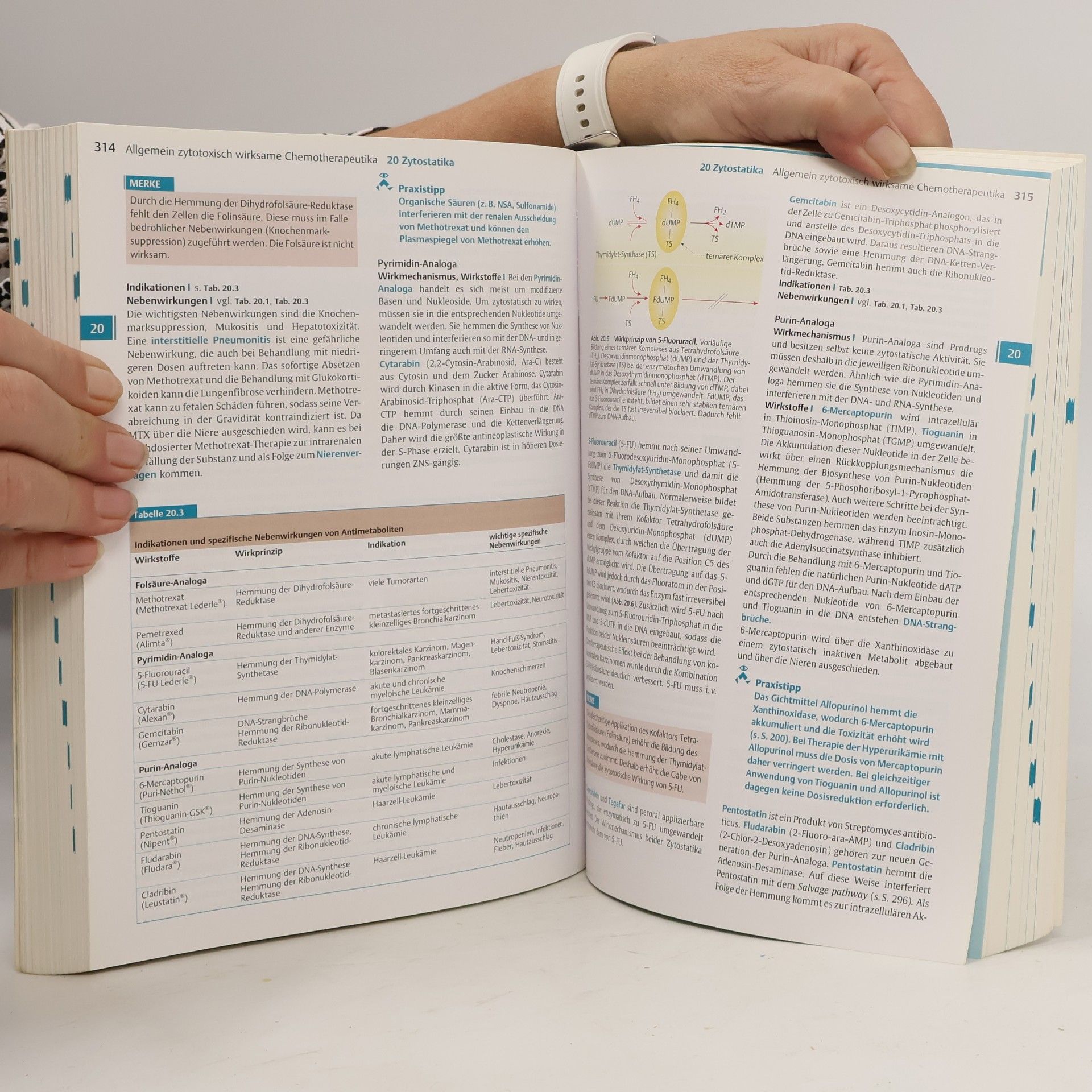 Thomas Herdegen Kurzlehrbuch Pharmakologie und Toxikologie