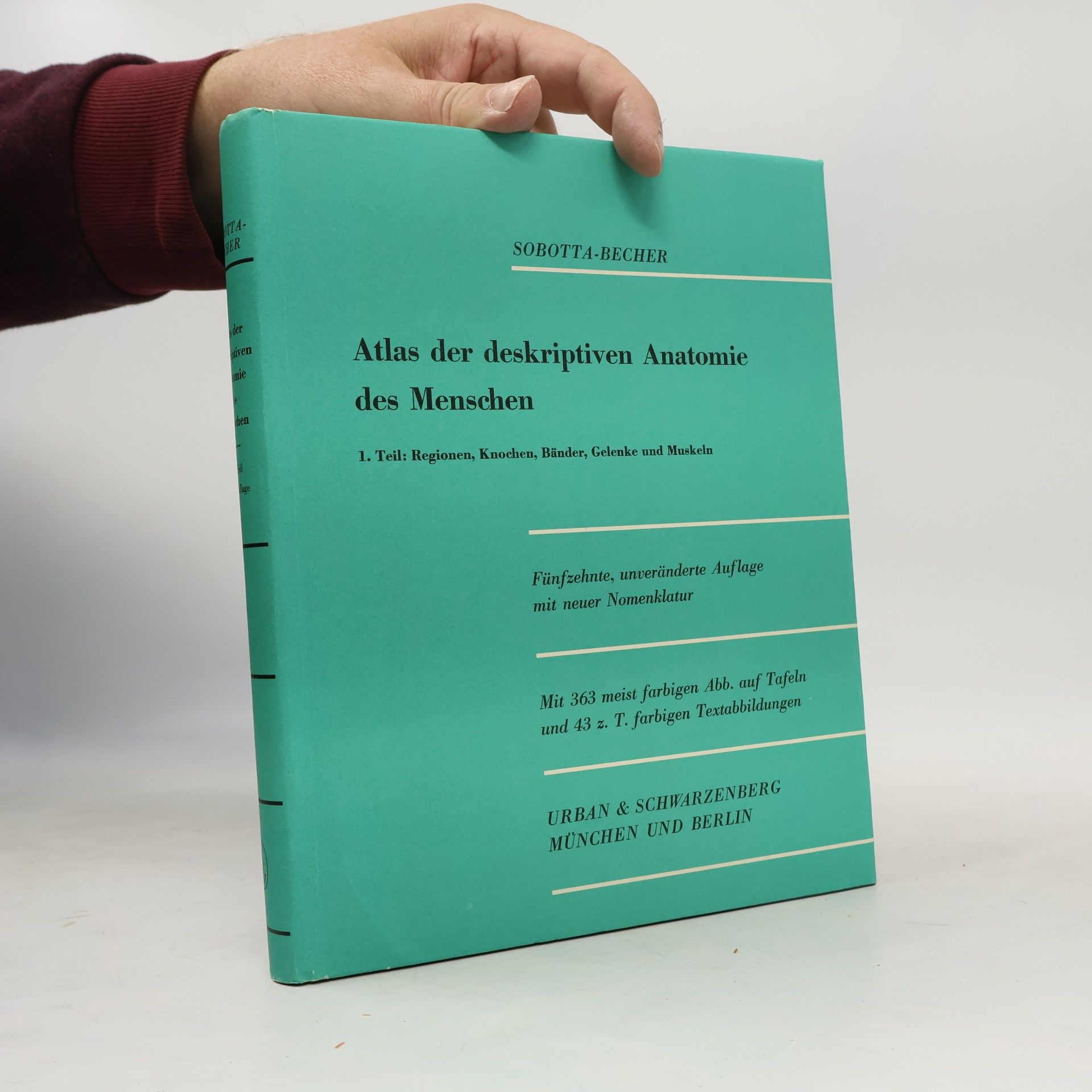 Atlas der deskriptiven Anatomie des Menschen 1
