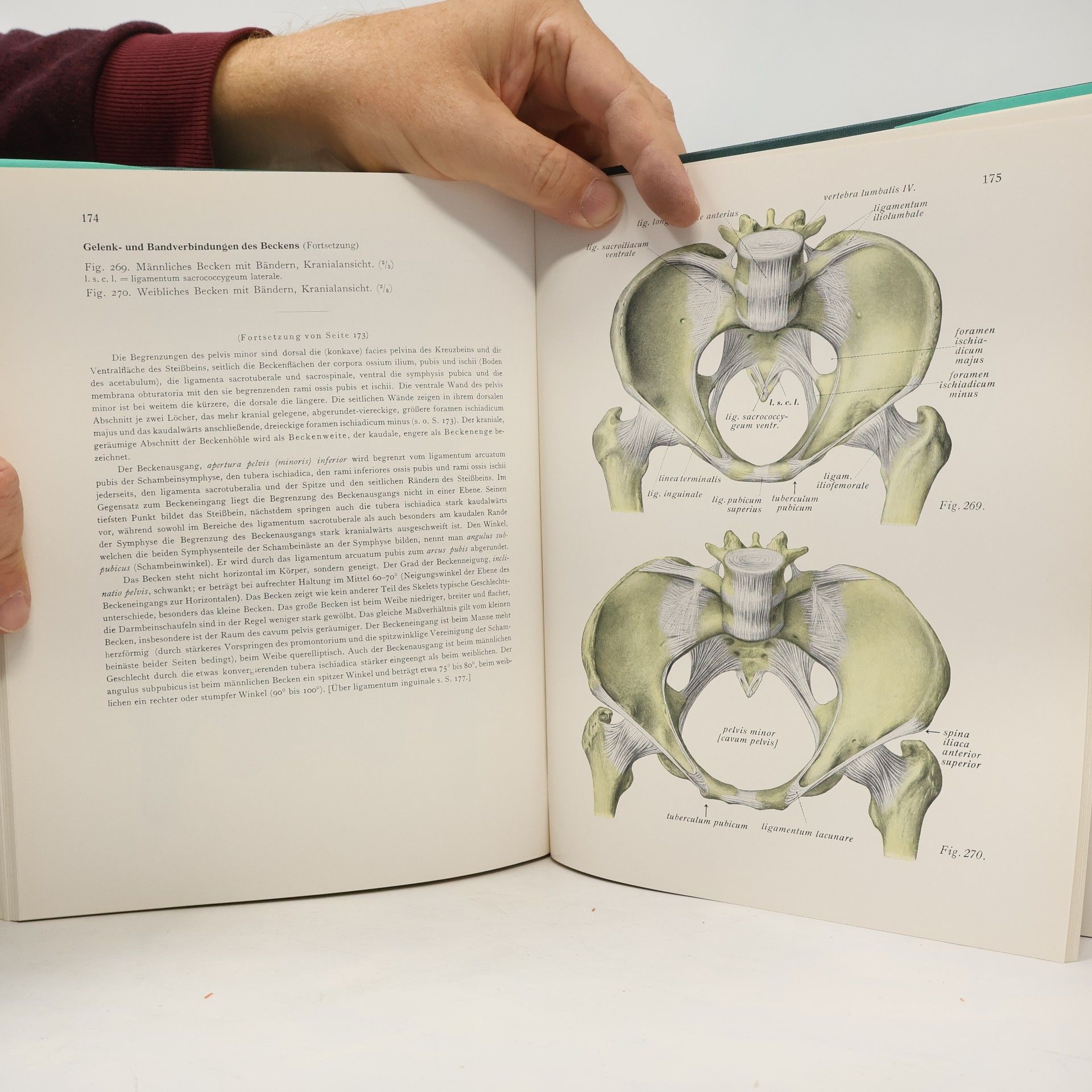 Johannes Sobotta Atlas der deskriptiven Anatomie des Menschen 1