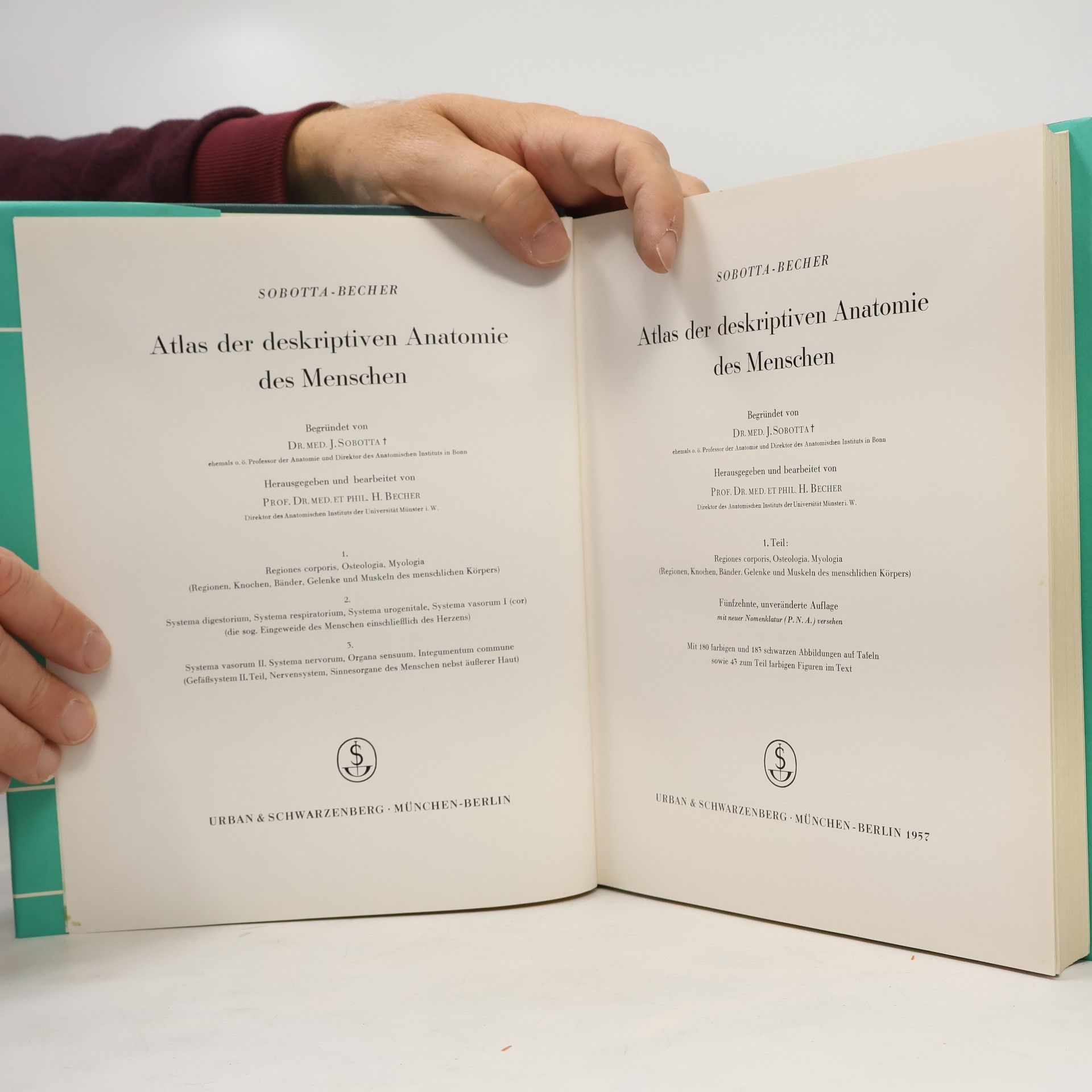 Johannes Sobotta Atlas der deskriptiven Anatomie des Menschen 1
