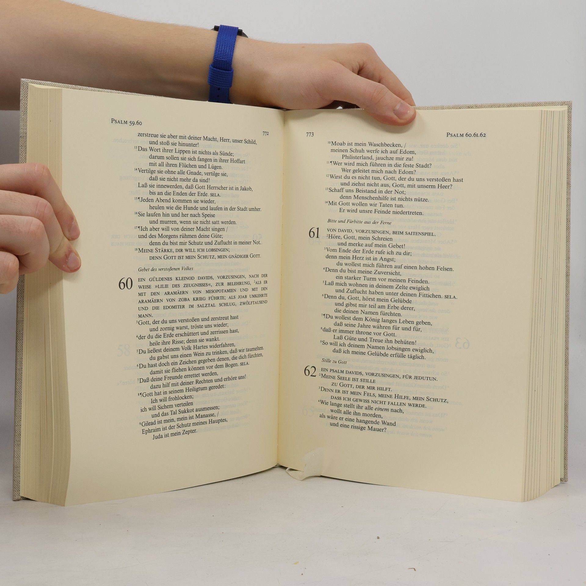 Martin Luther Die Bibel nach der Übersetzung Martin Luthers mit Farbtafeln christlicher Kunst