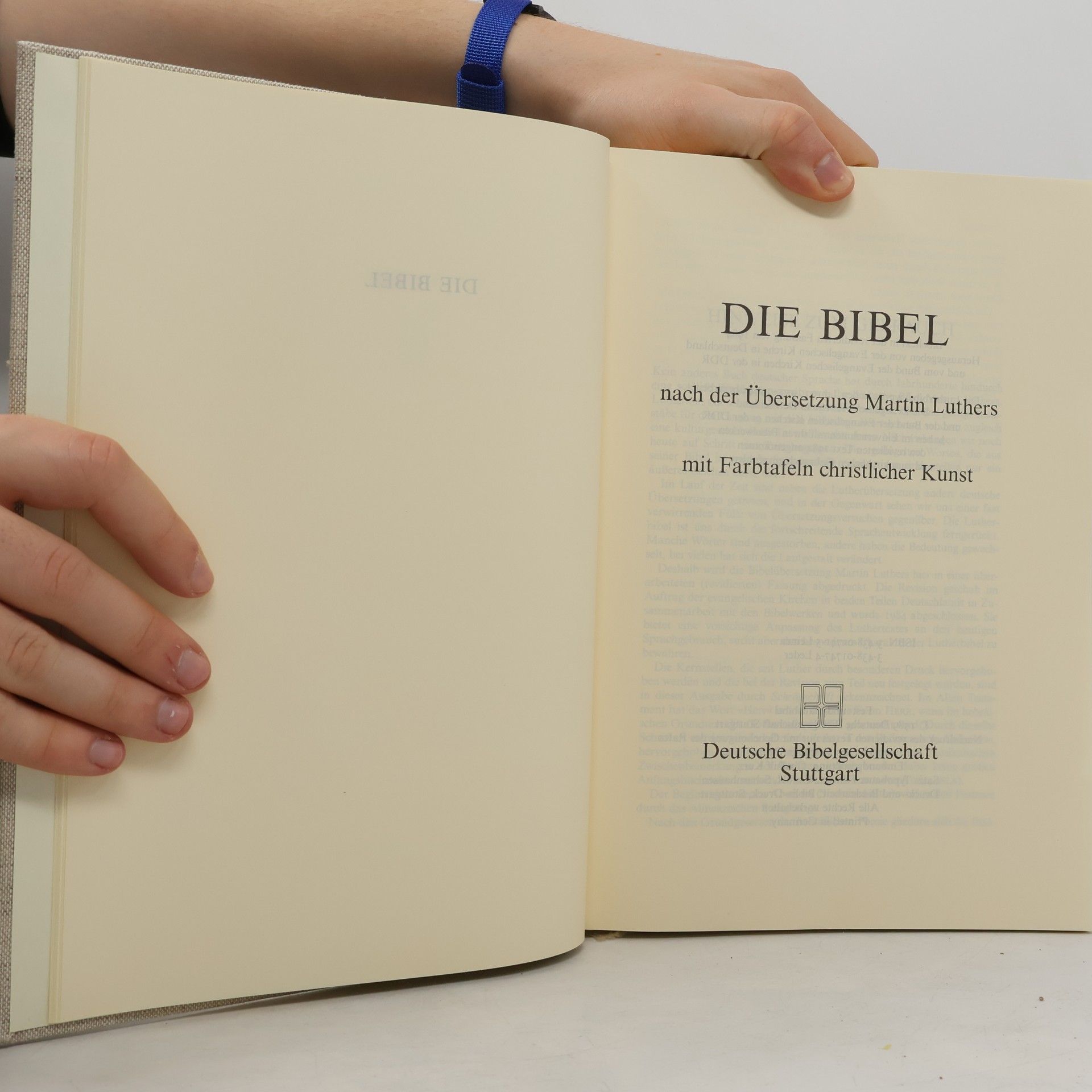 Martin Luther Die Bibel nach der Übersetzung Martin Luthers mit Farbtafeln christlicher Kunst