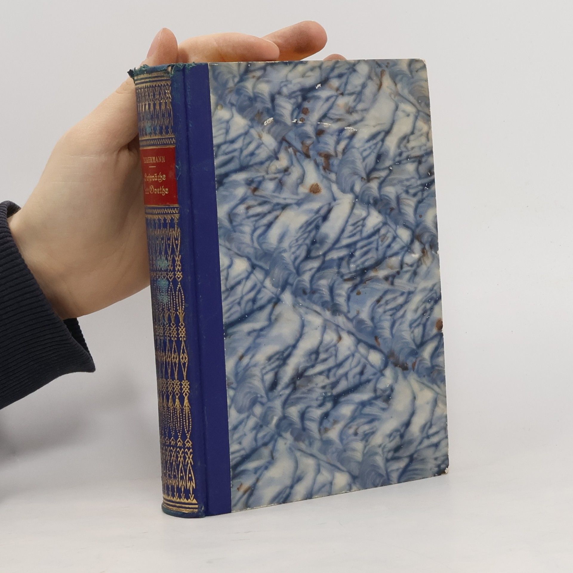 AA.VV. Gespräche mit Goethe