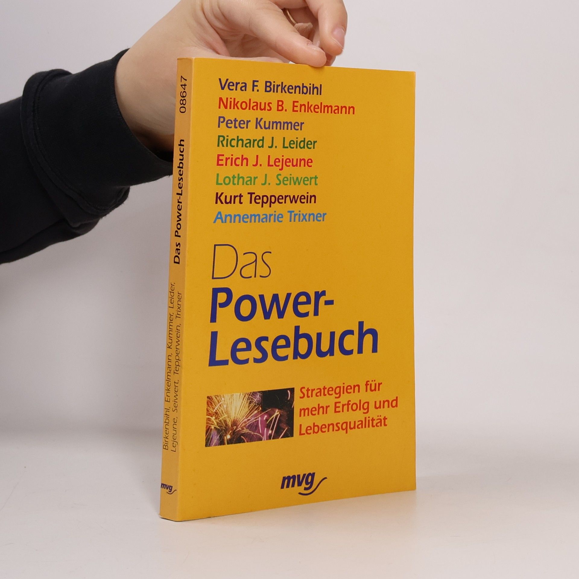 Vera Birkenbihl Das Power-Lesebuch