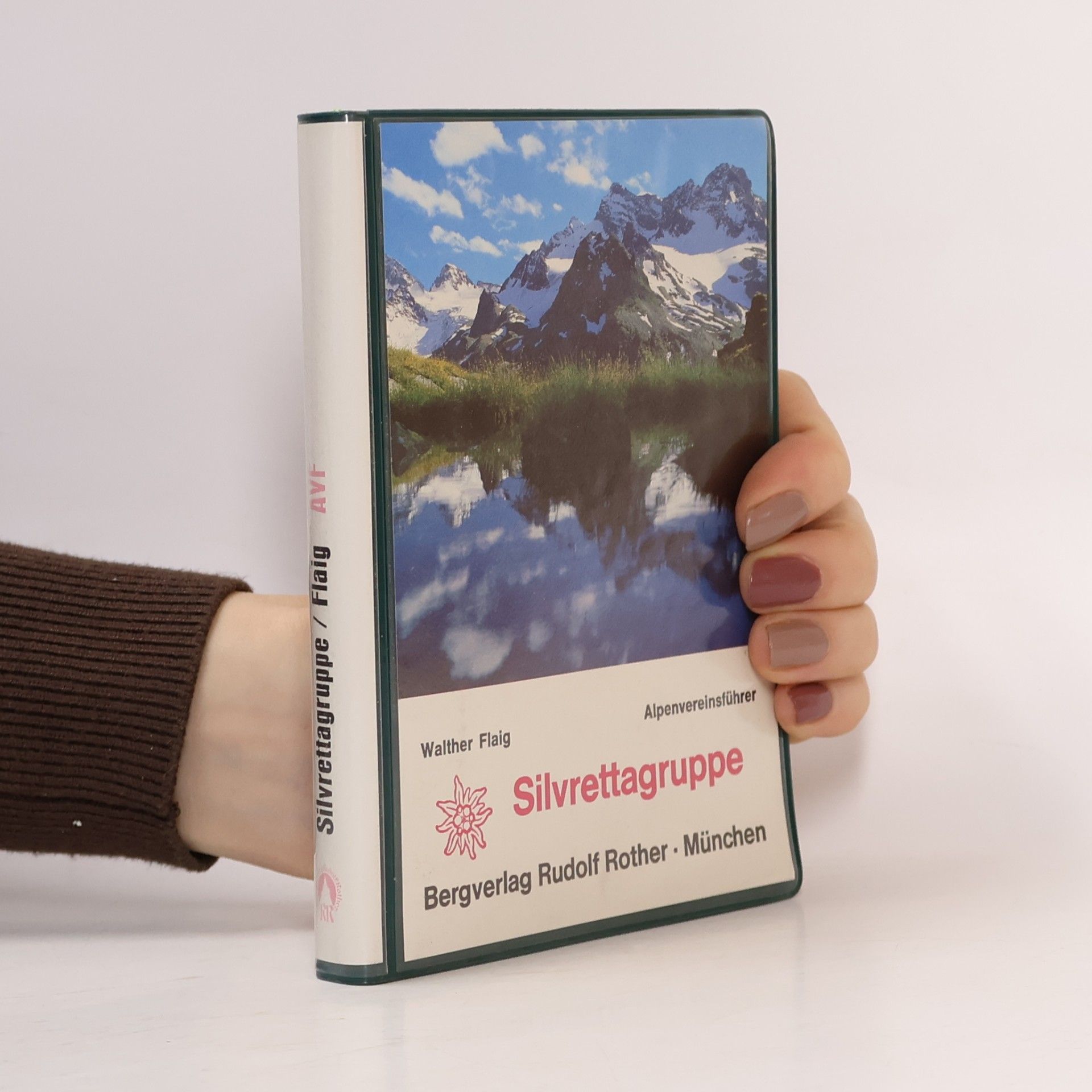 Silvrettagruppe