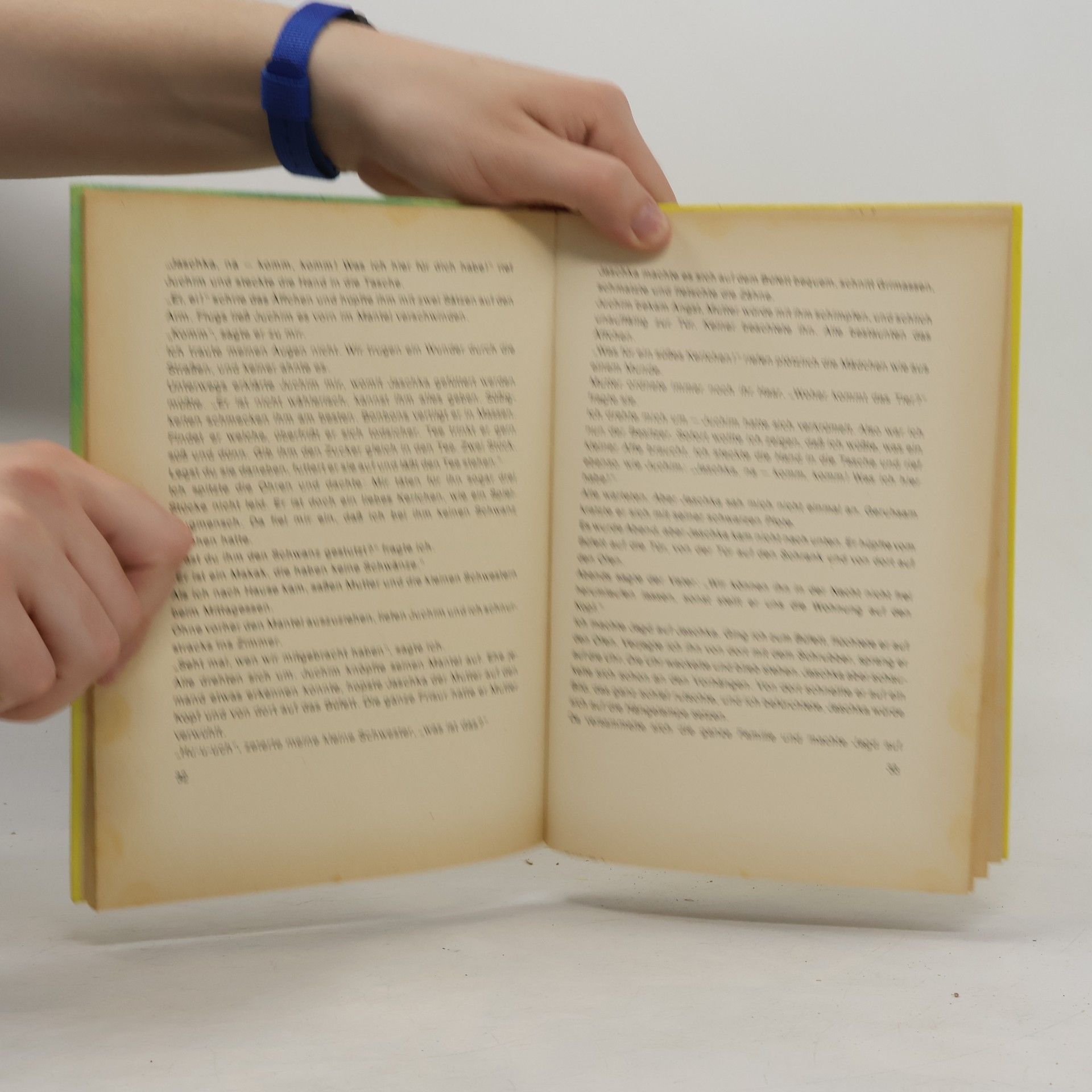Autorenkollektiv Mungo und andere Tiergeschichten