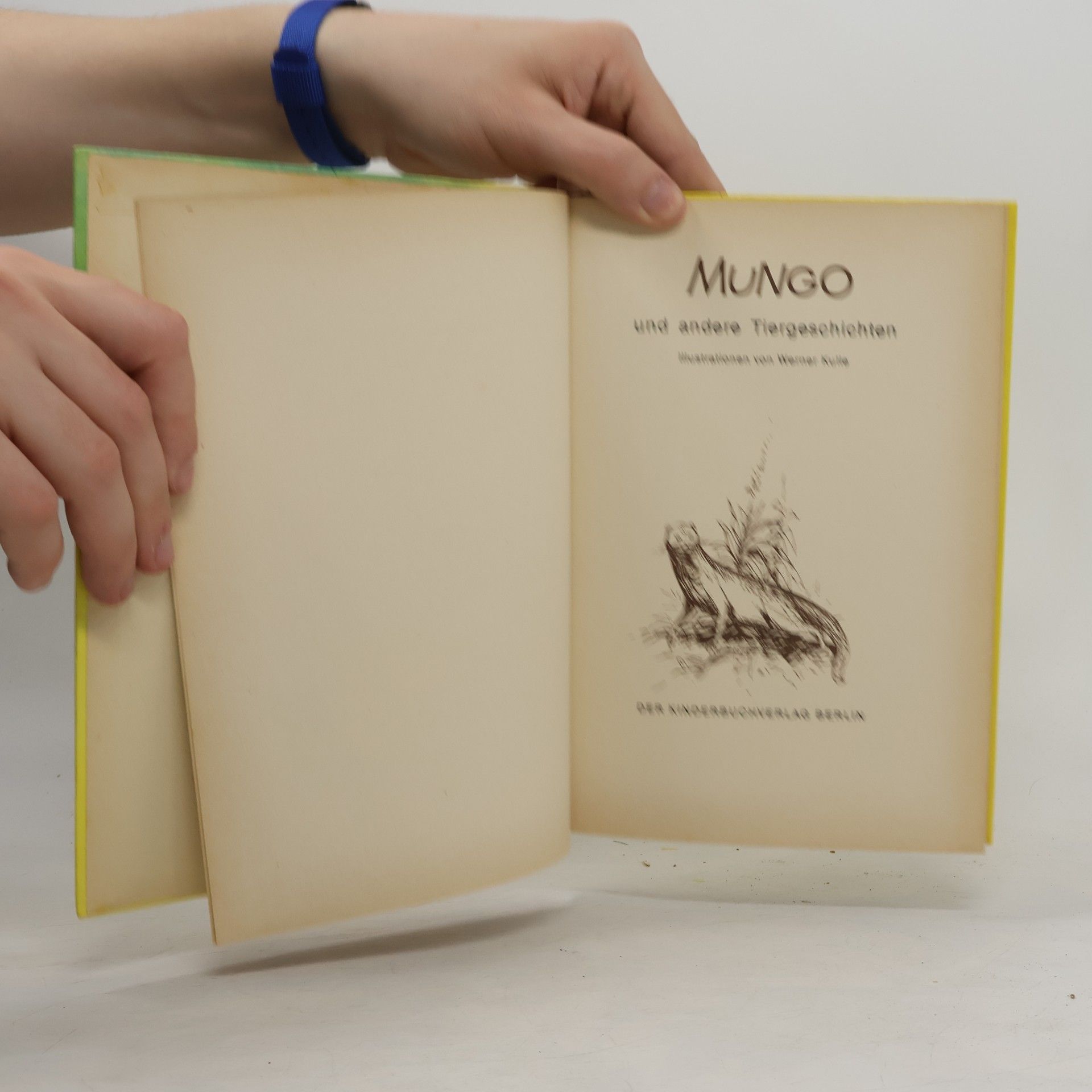 Autorenkollektiv Mungo und andere Tiergeschichten