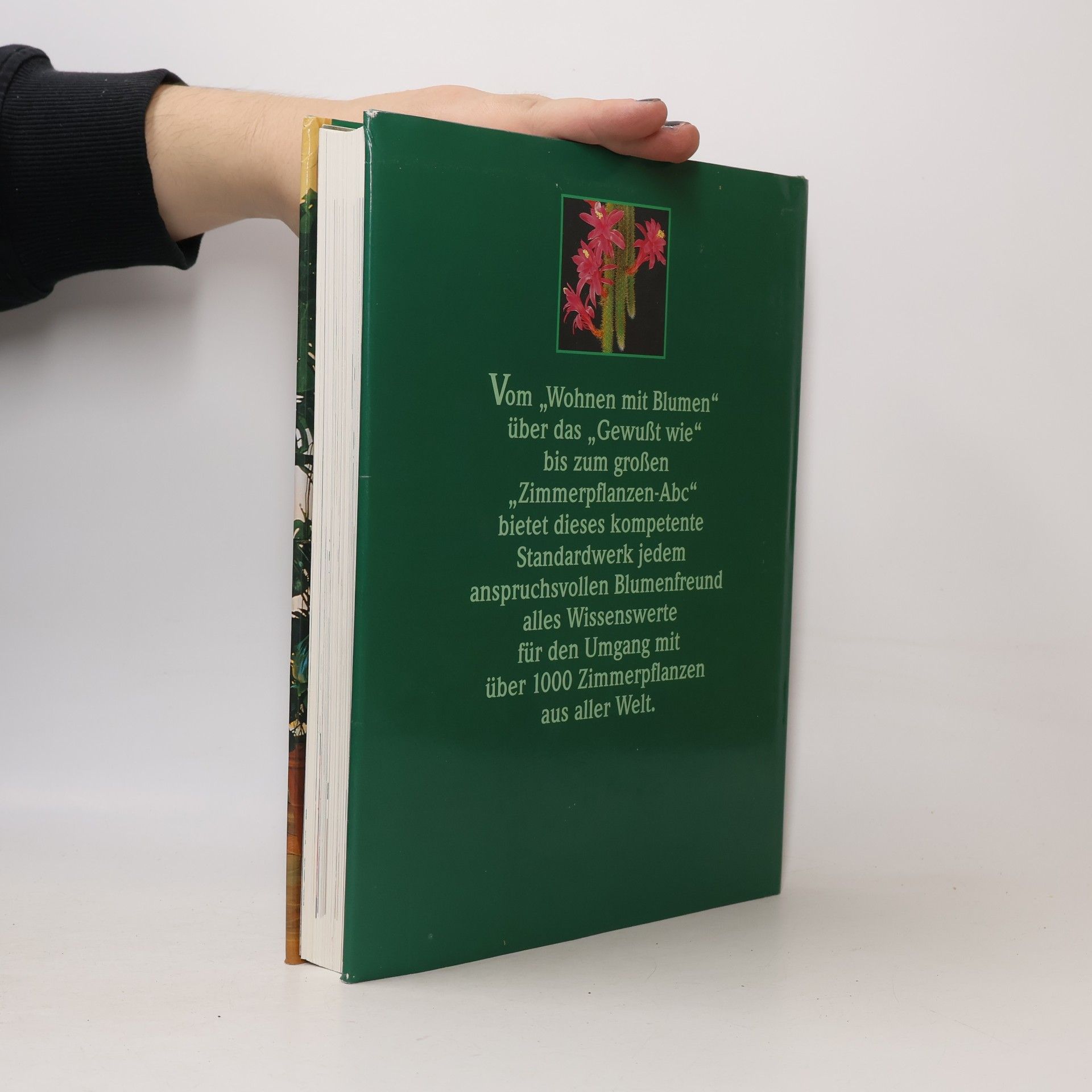 Kolektiv autorů Das große Buch der Zimmerpflanzen