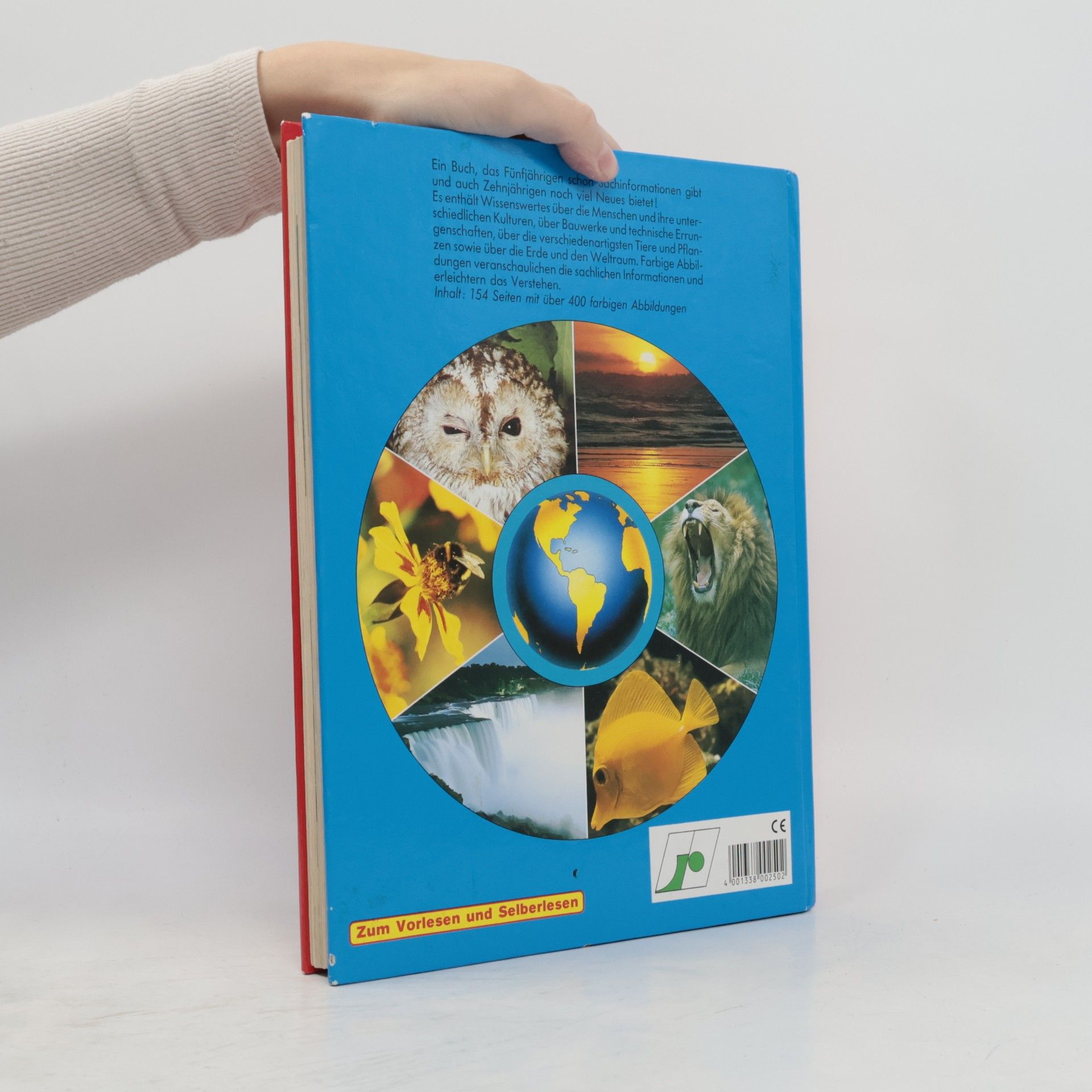 Autorenkollektiv Was du wissen solltest über. Menschen, Tiere, Pflanzen, Technik und die Erde