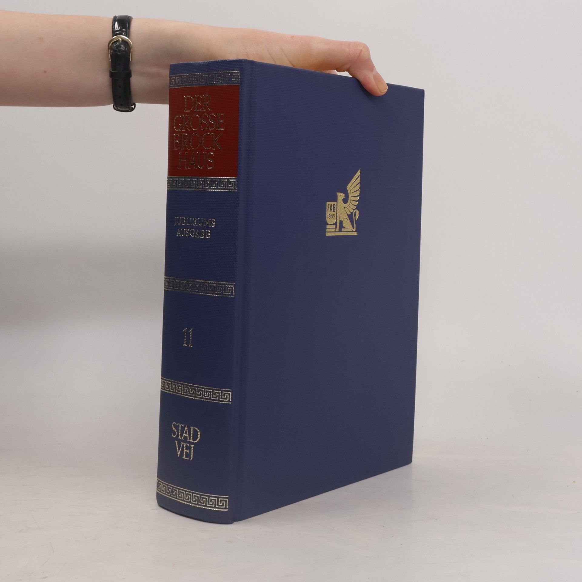 Autorenkollektiv Der grosse Brockhaus 11. Stad-Vei