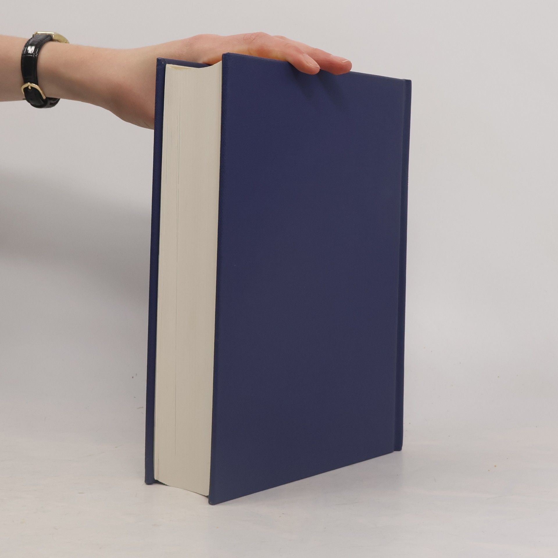Autorenkollektiv Der grosse Brockhaus 11. Stad-Vei