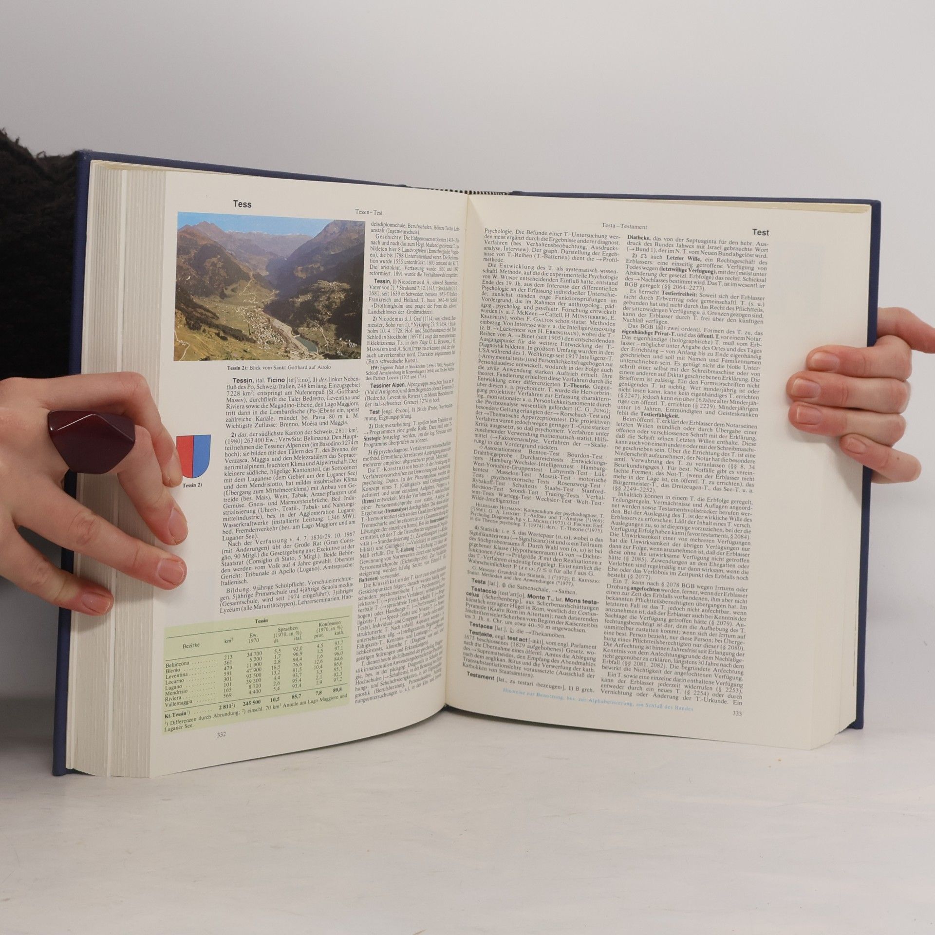 Autorenkollektiv Der grosse Brockhaus 11. Stad-Vei