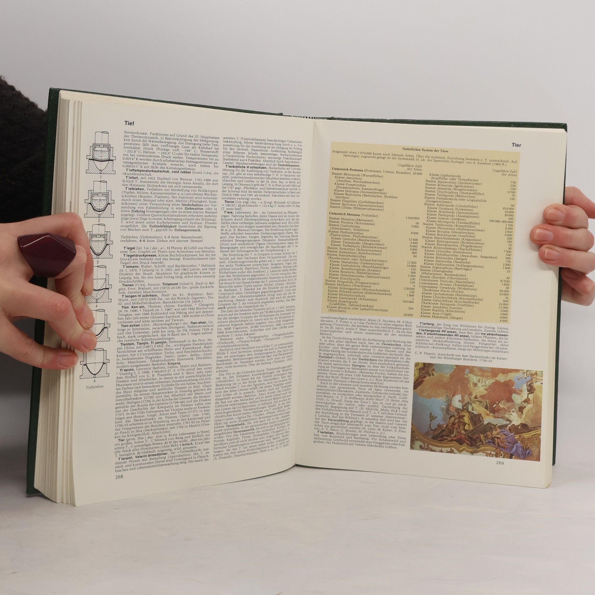 Autorenkollektiv Der neue Brockhaus 5. Sie-Z