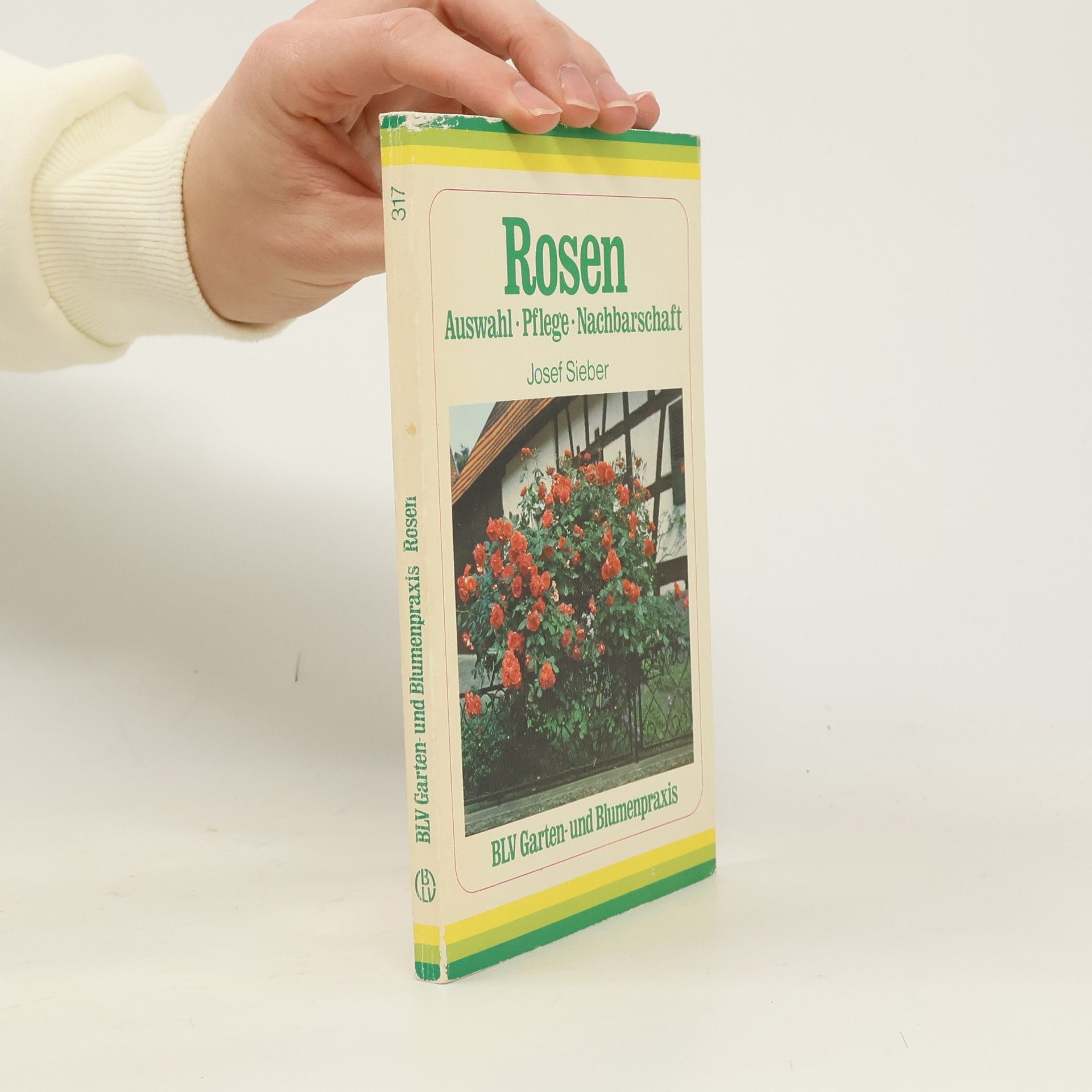 Josef Sieber Rosen
