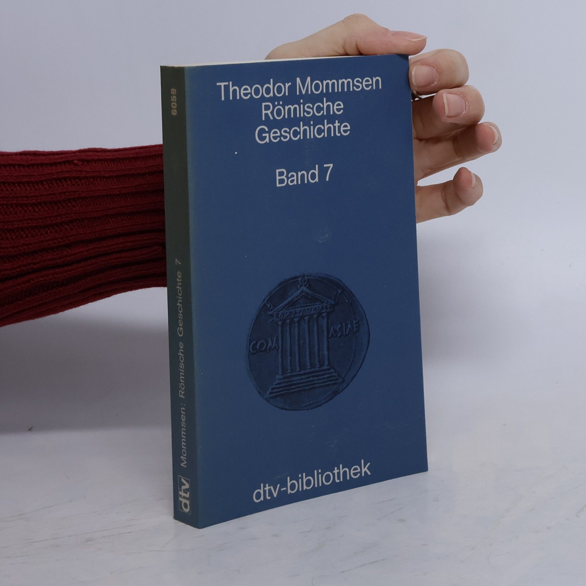 Römische Geschichte Band 7