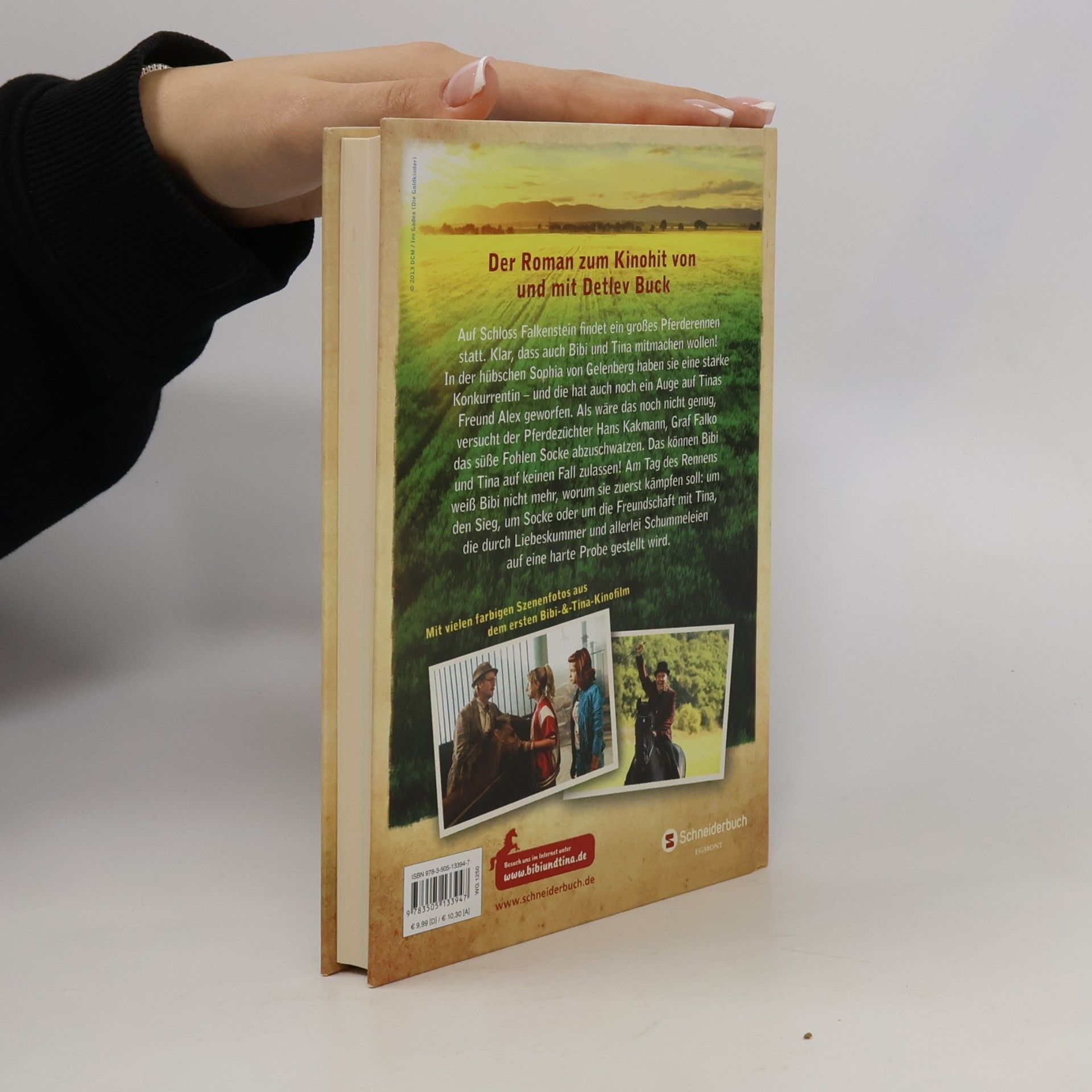 Wenka von Mikulicz Bibi & Tina Das buch zum film