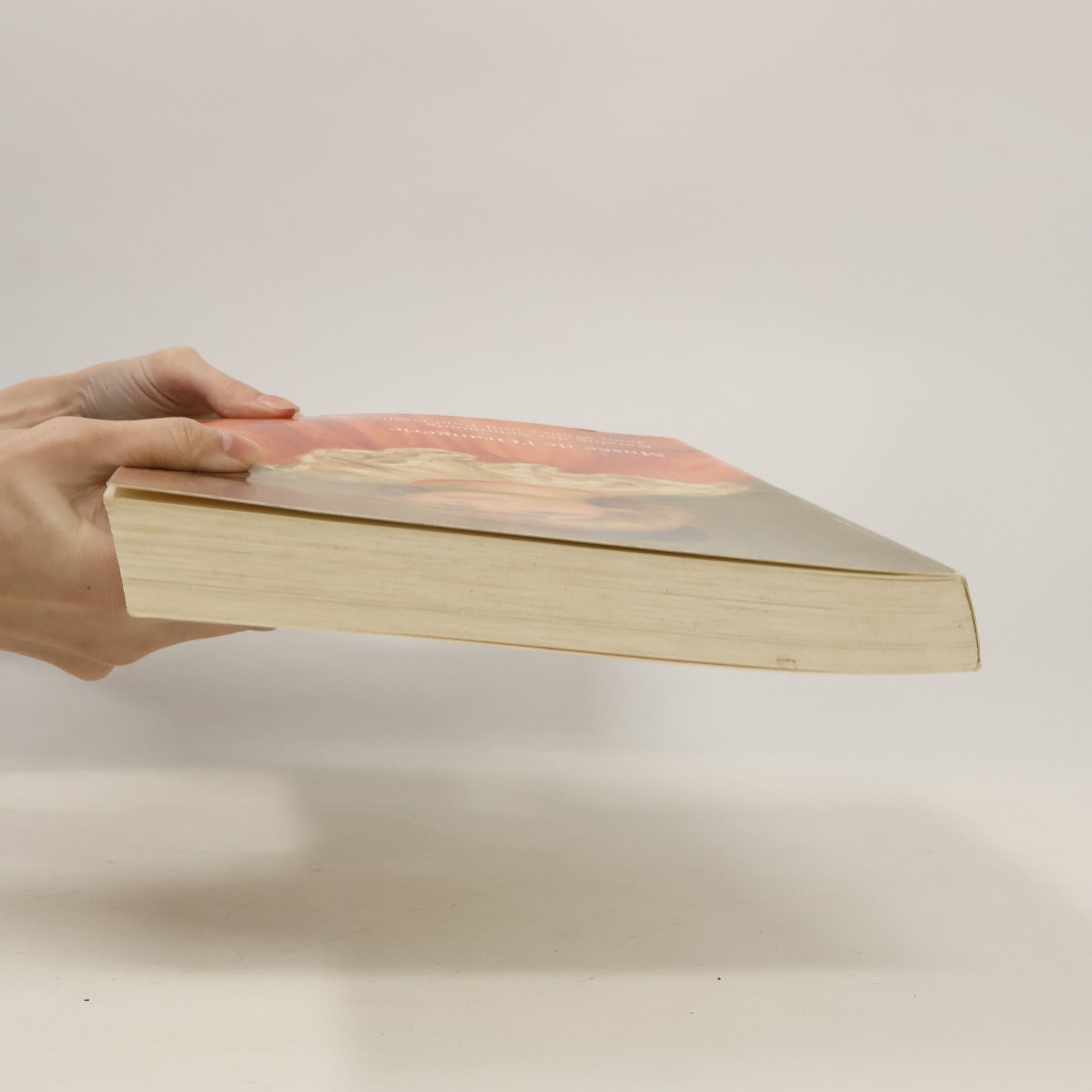 Michel Hoog Catalogue de la Collection Jean Walther et Paul Guillaume