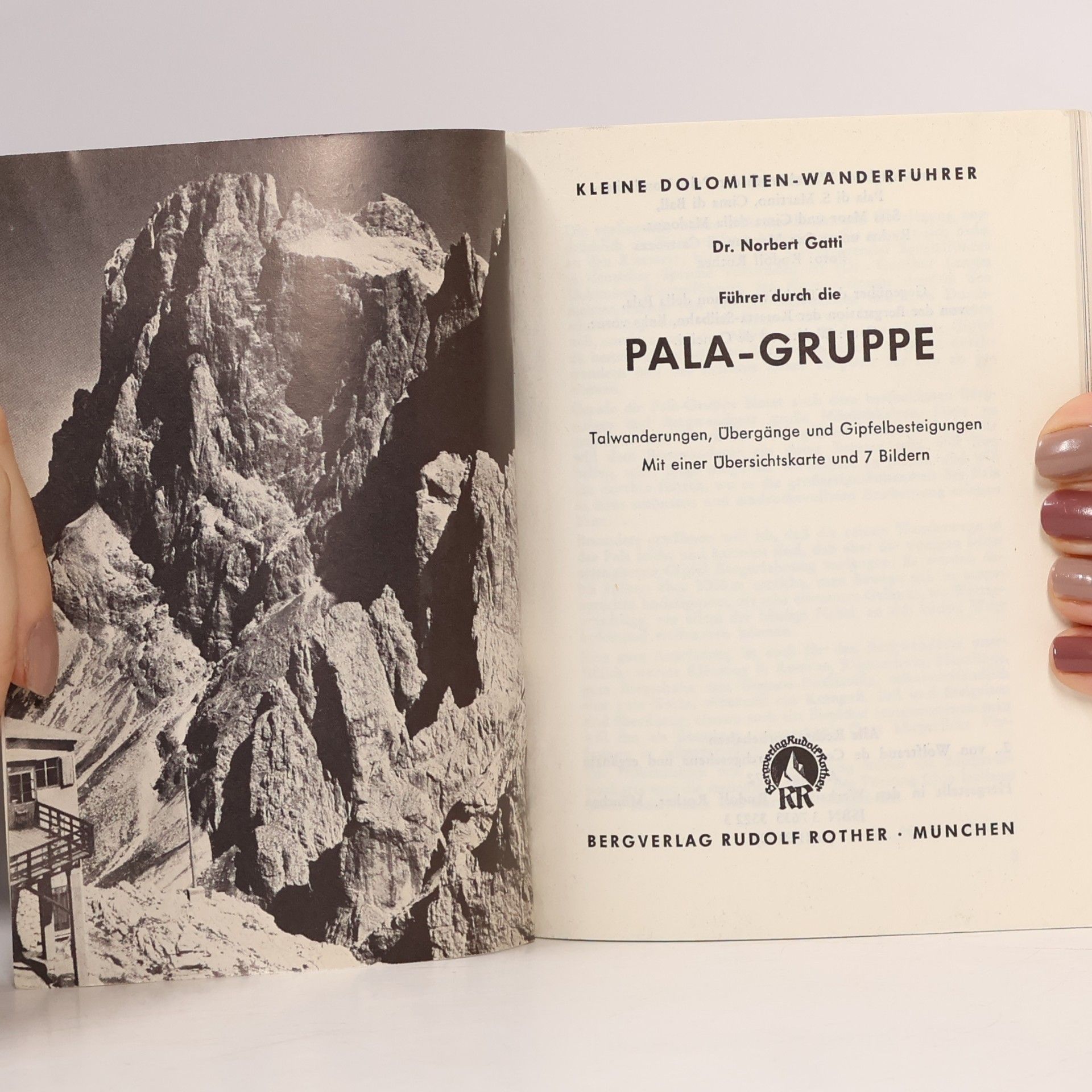 Dr. Norbert Gatti Pala-Gruppe