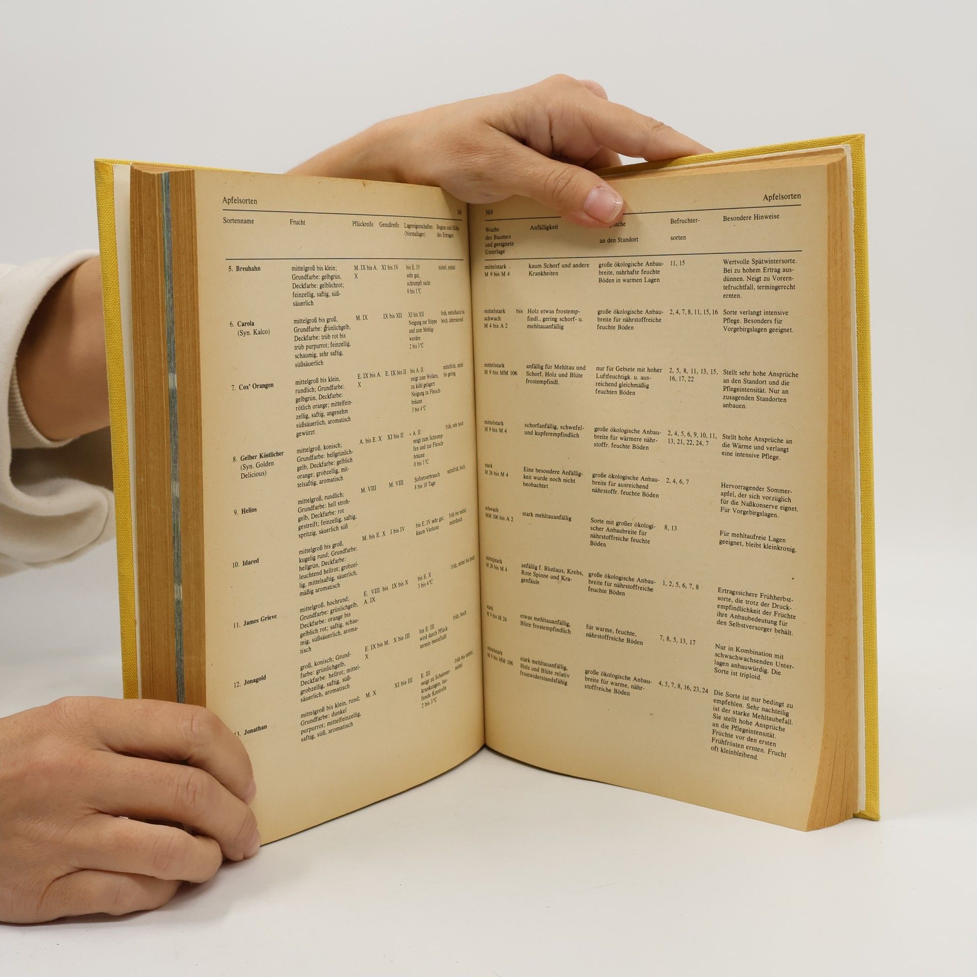 Various authors Rat für jeden Gartentag