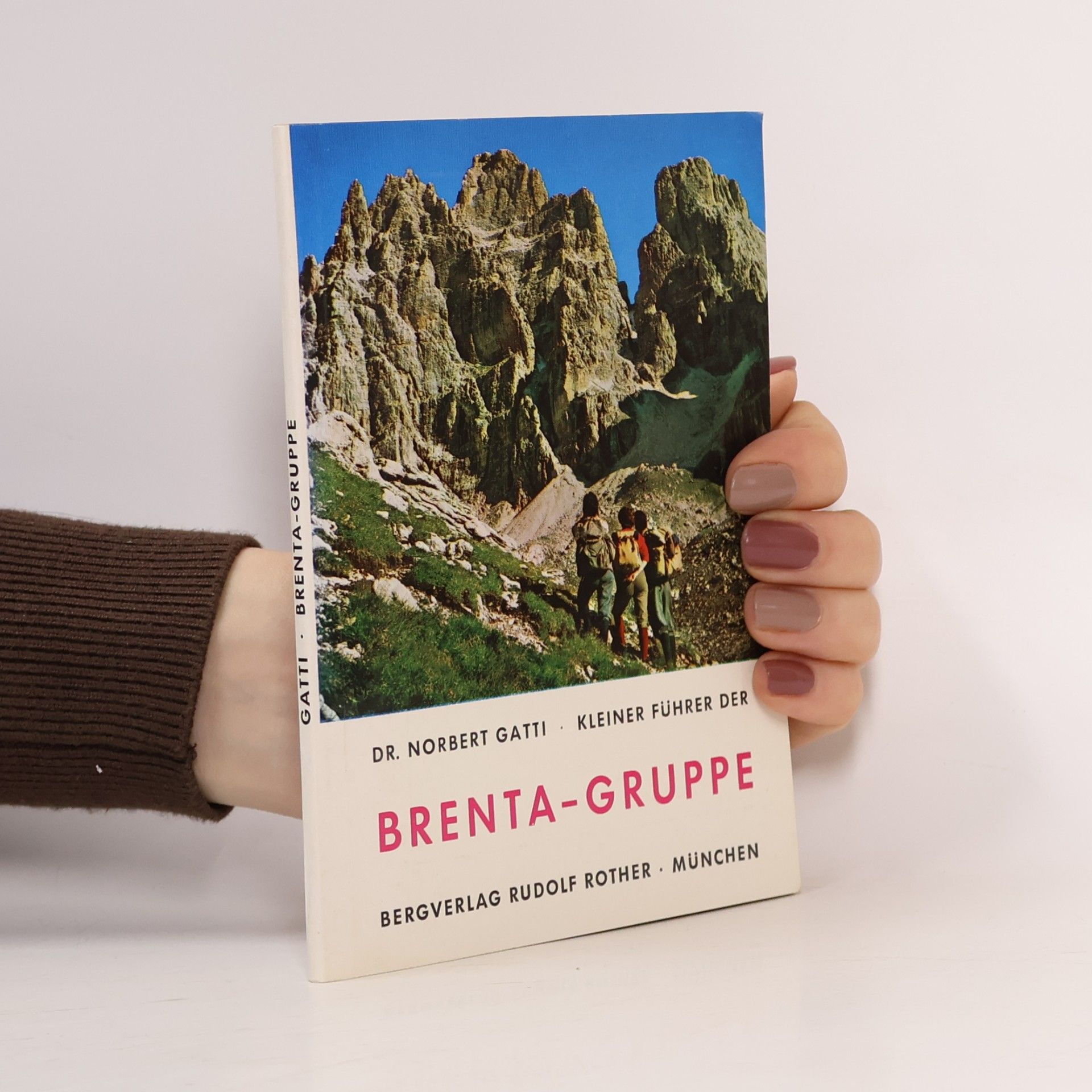 Brenta-Gruppe