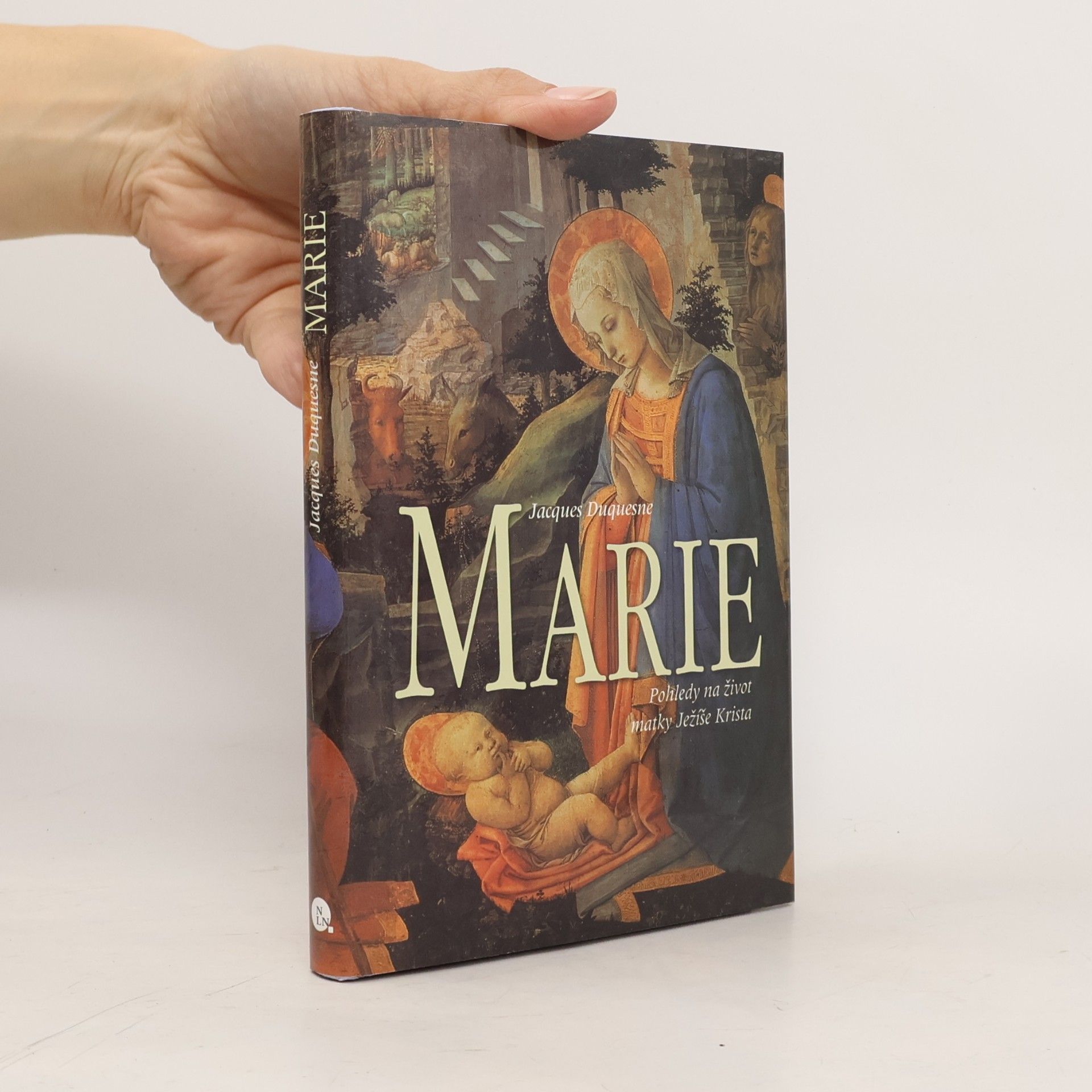 Marie - Pohledy na život matky Ježíše Krista