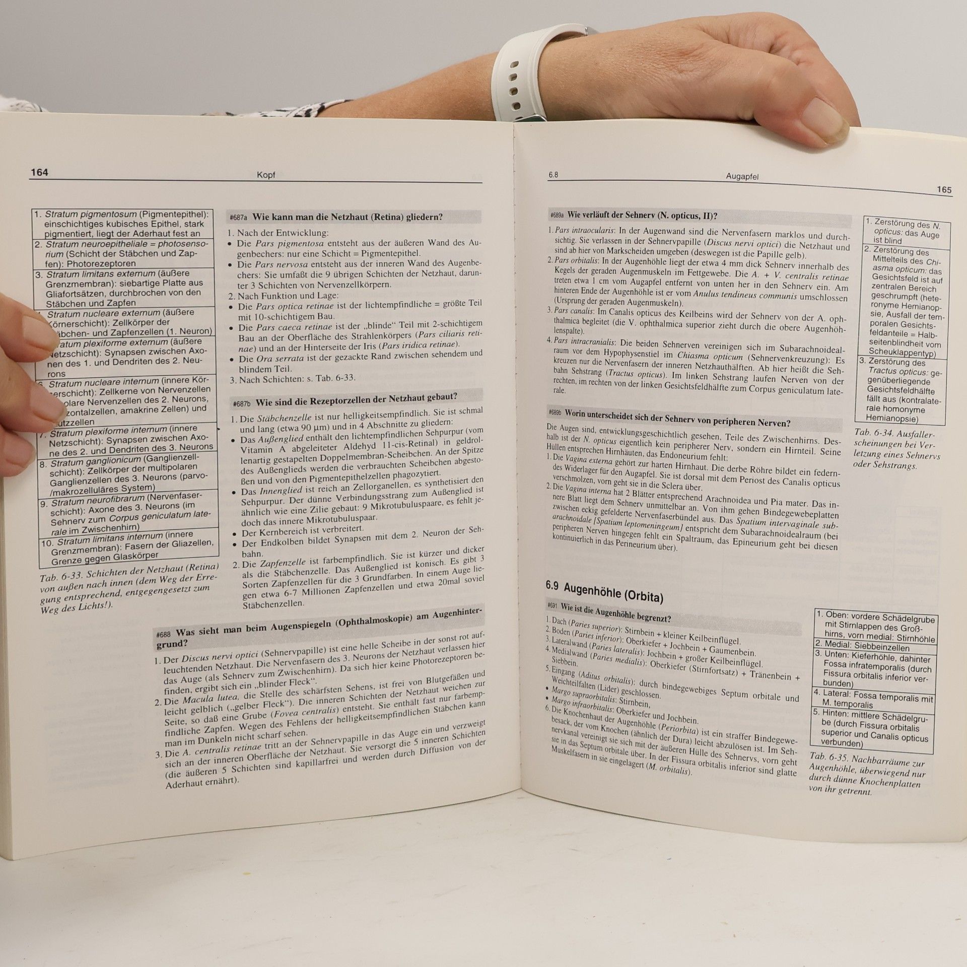 Herbert Lippert Anatomie in Frage und Antwort - 3. Auflage mündliche Prüfung