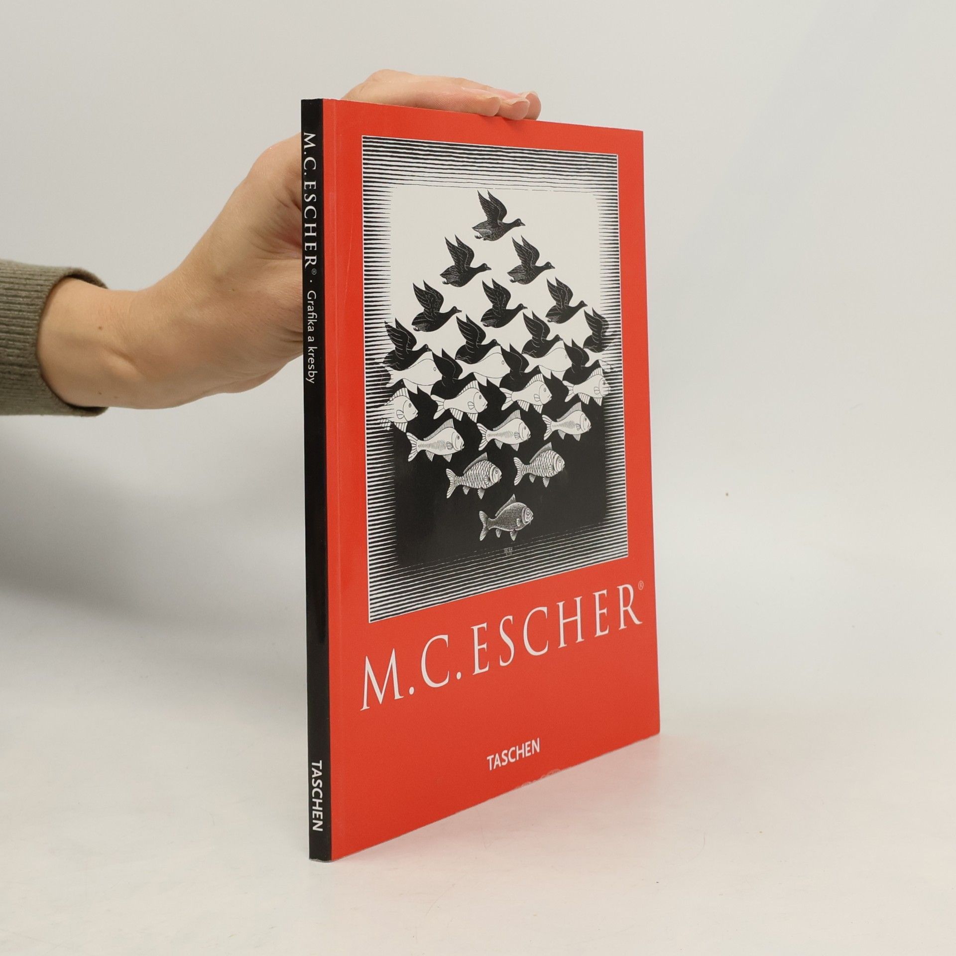 M. C. Escher: Grafika a kresby