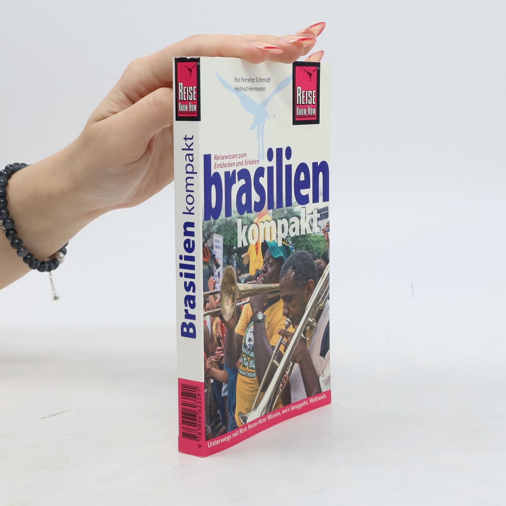 Kai Ferreira Schmidt Brasilien kompakt