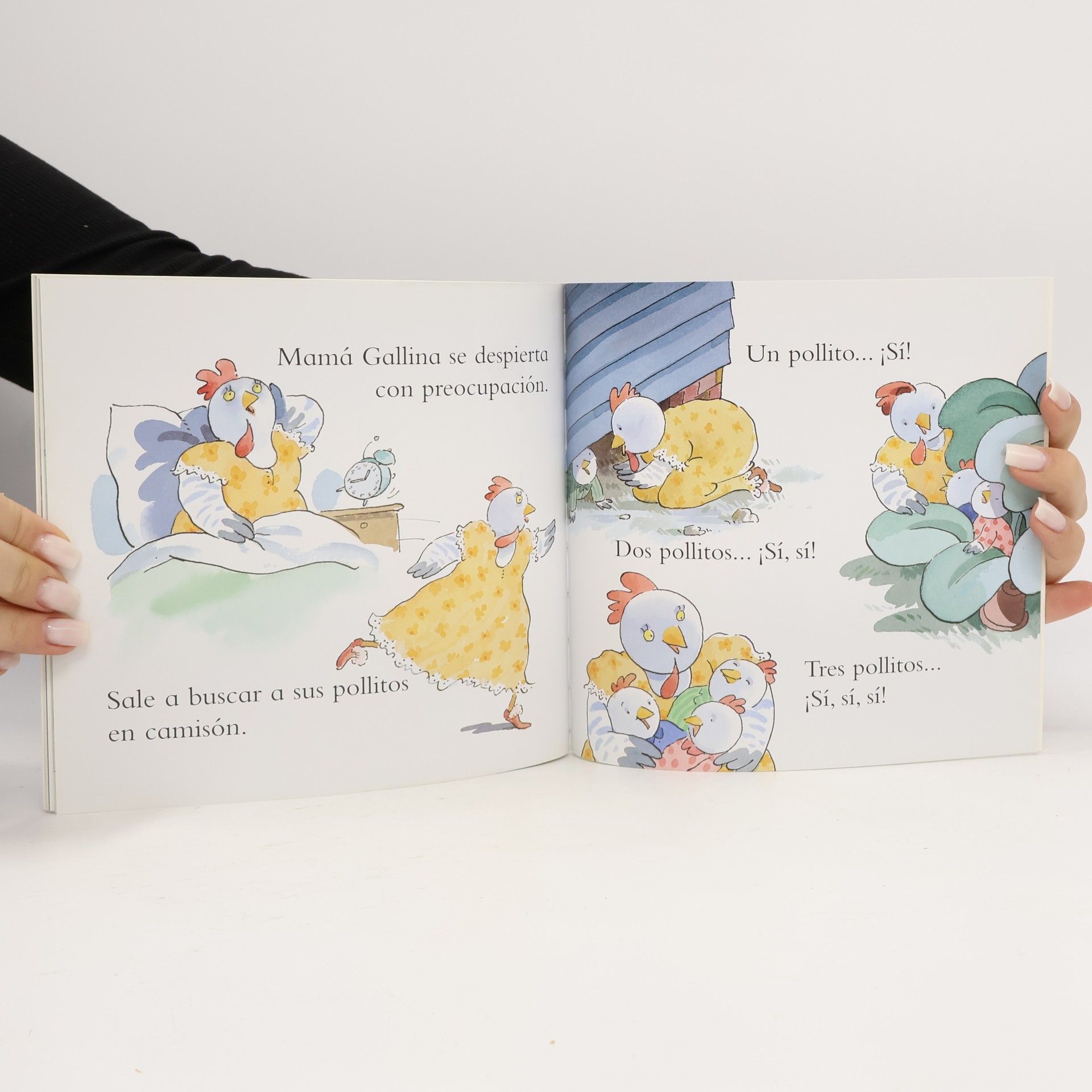 Allan Ahlberg Villa Gallina
