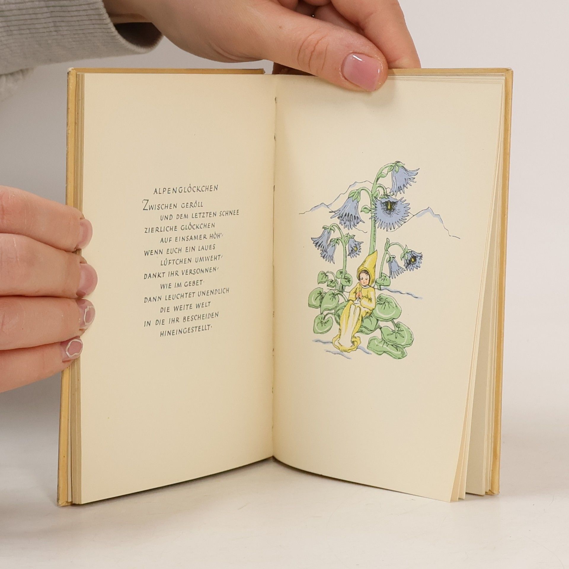 Autorenkollektiv Die Frühlingsblumen Fibel
